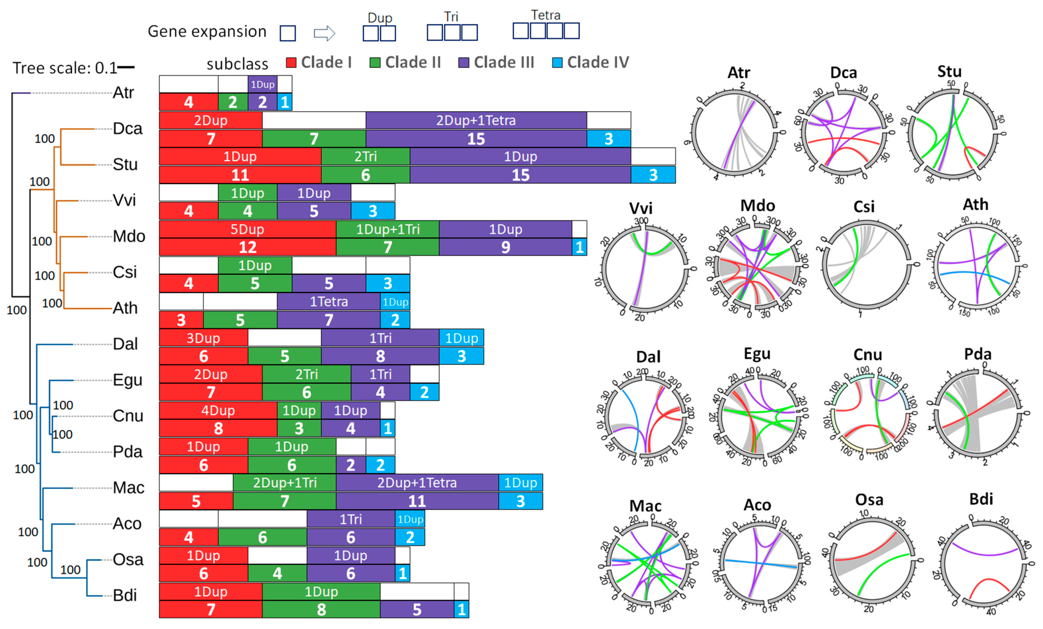 Plants 14 00686 g003