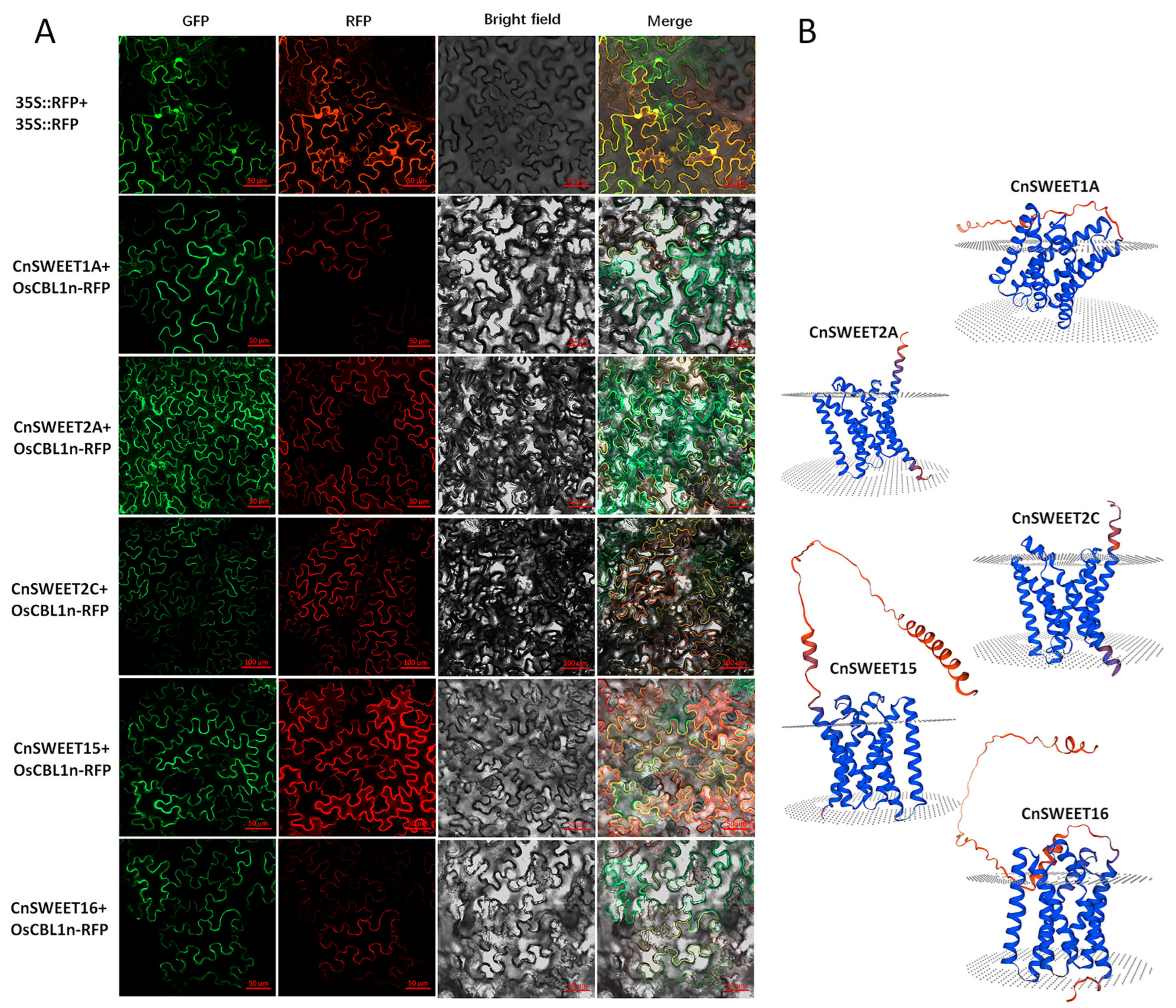 Plants 14 00686 g005