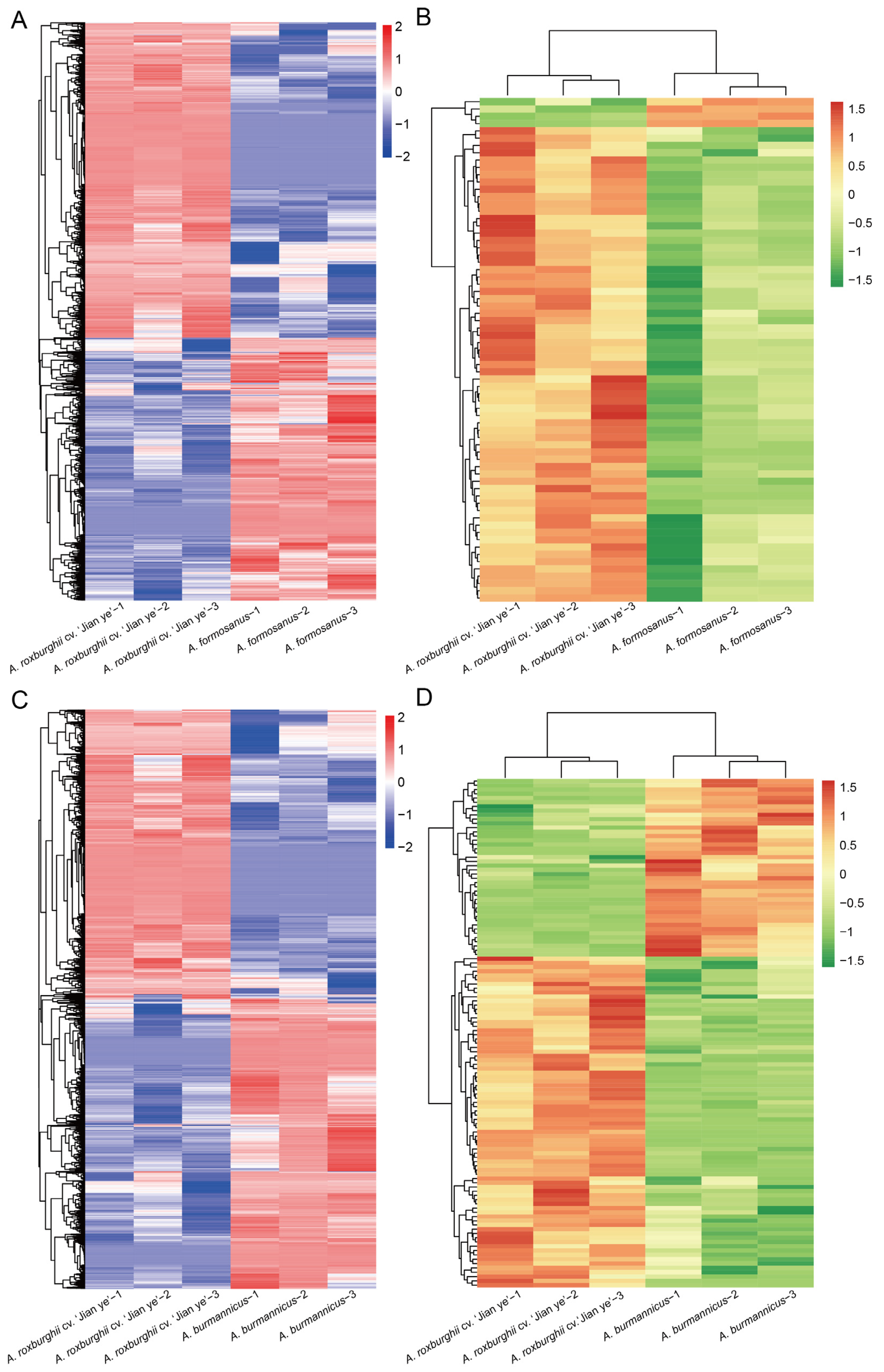 Plants 14 00688 g002 Plants 14 00688 g002