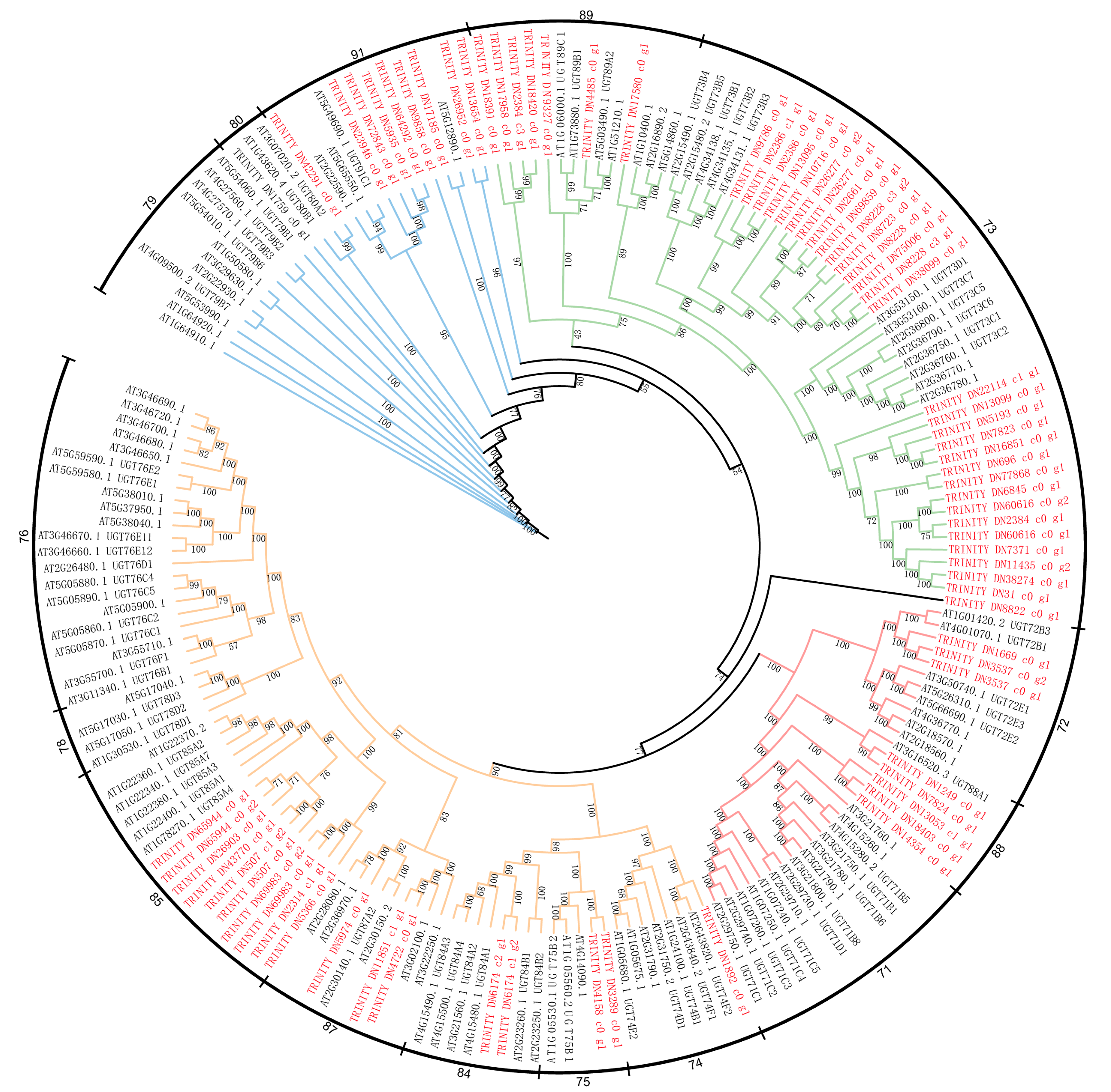 Plants 14 00688 g007 Plants 14 00688 g007