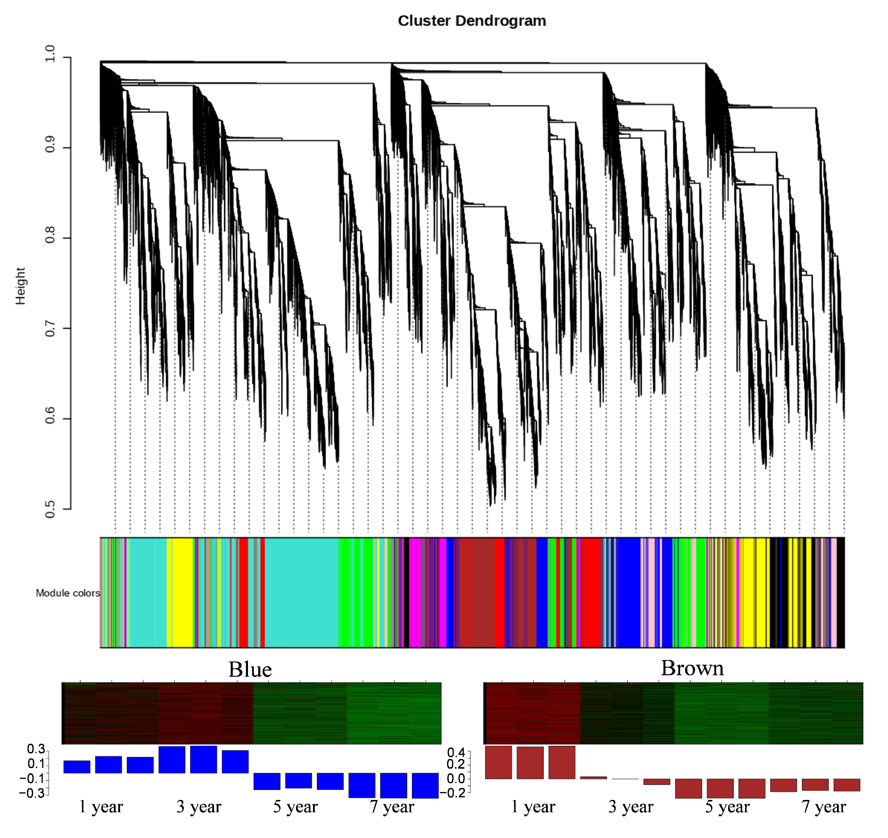 Plants 14 00689 g004
