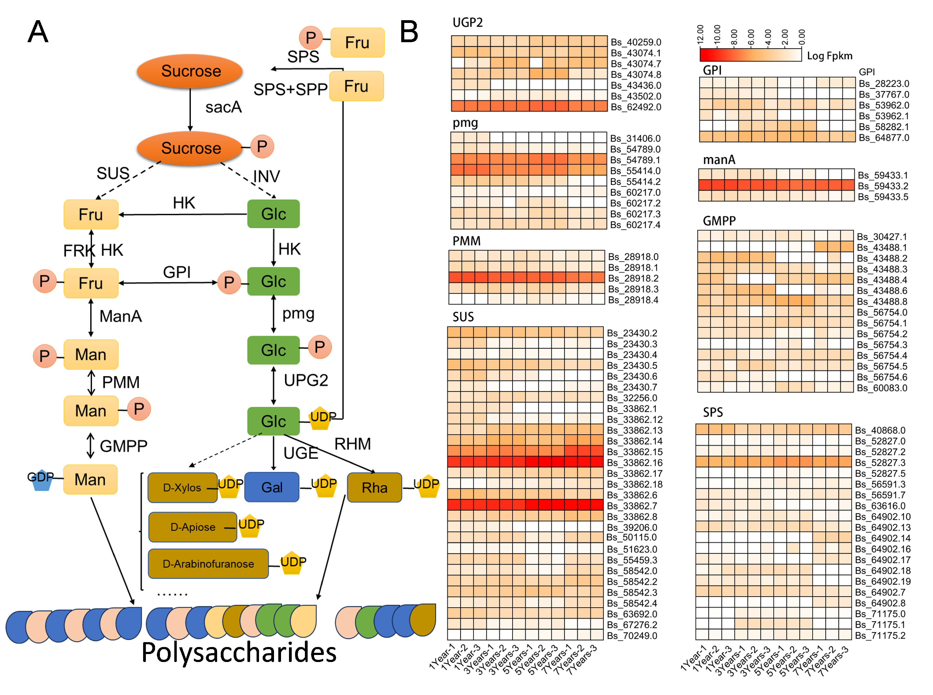 Plants 14 00689 g005