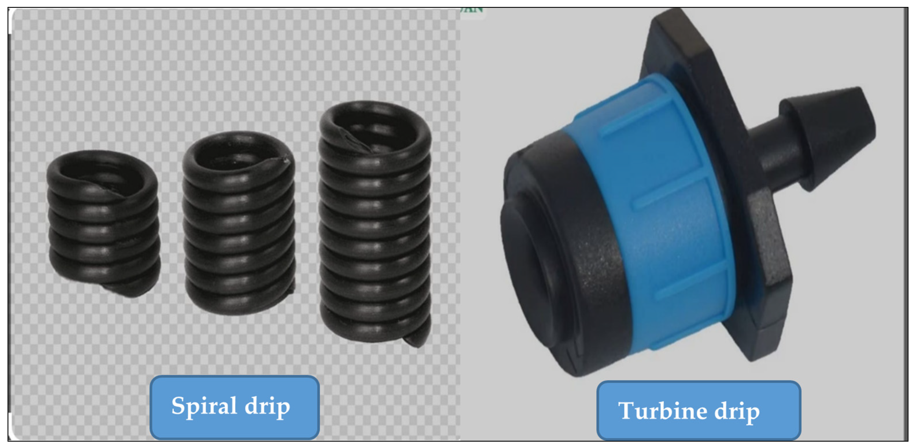 Plants 14 00693 g007