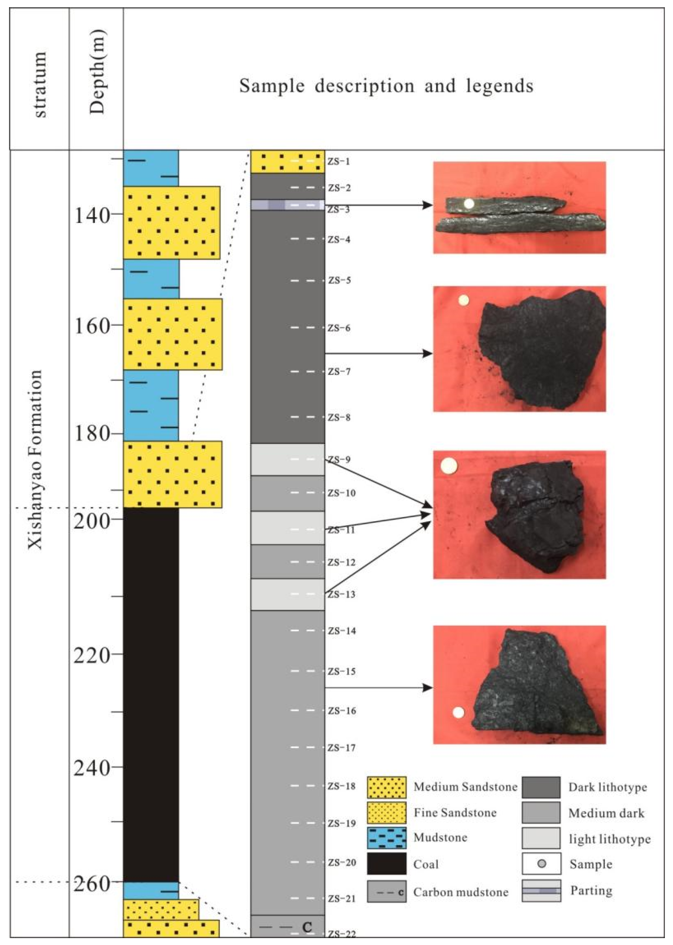 Plants 14 00695 g002