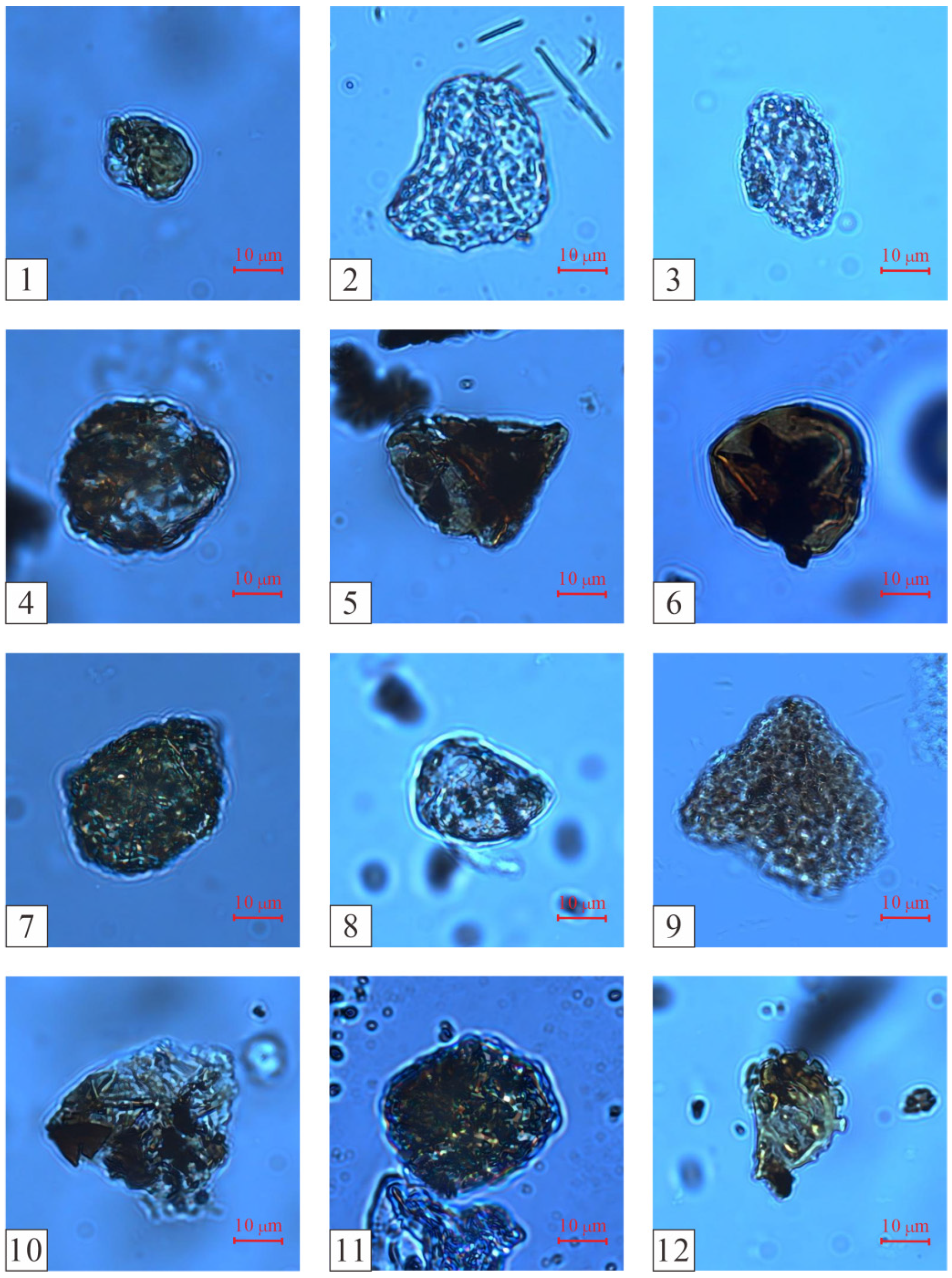 Plants 14 00695 g005