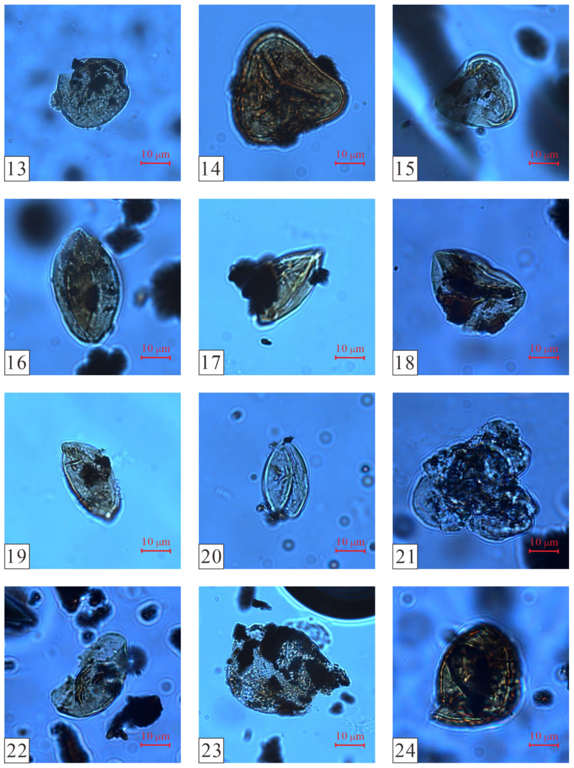 Plants 14 00695 g006