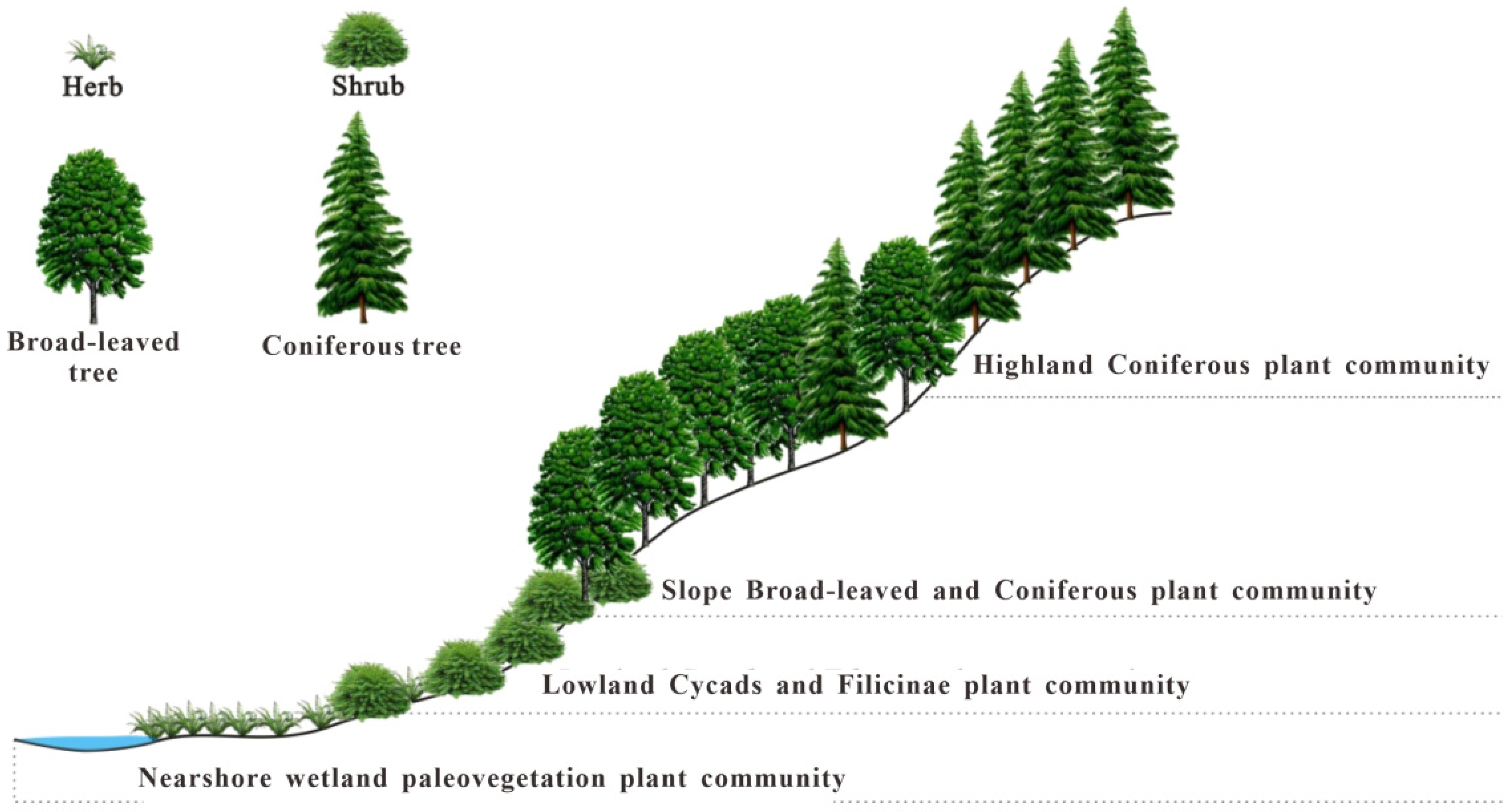 Plants 14 00695 g008