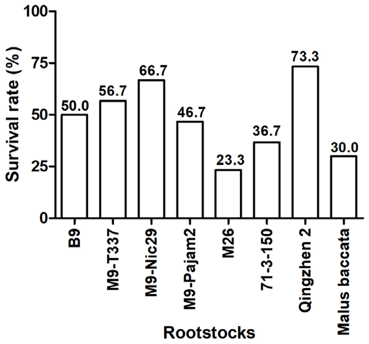 Plants 14 00696 g001
