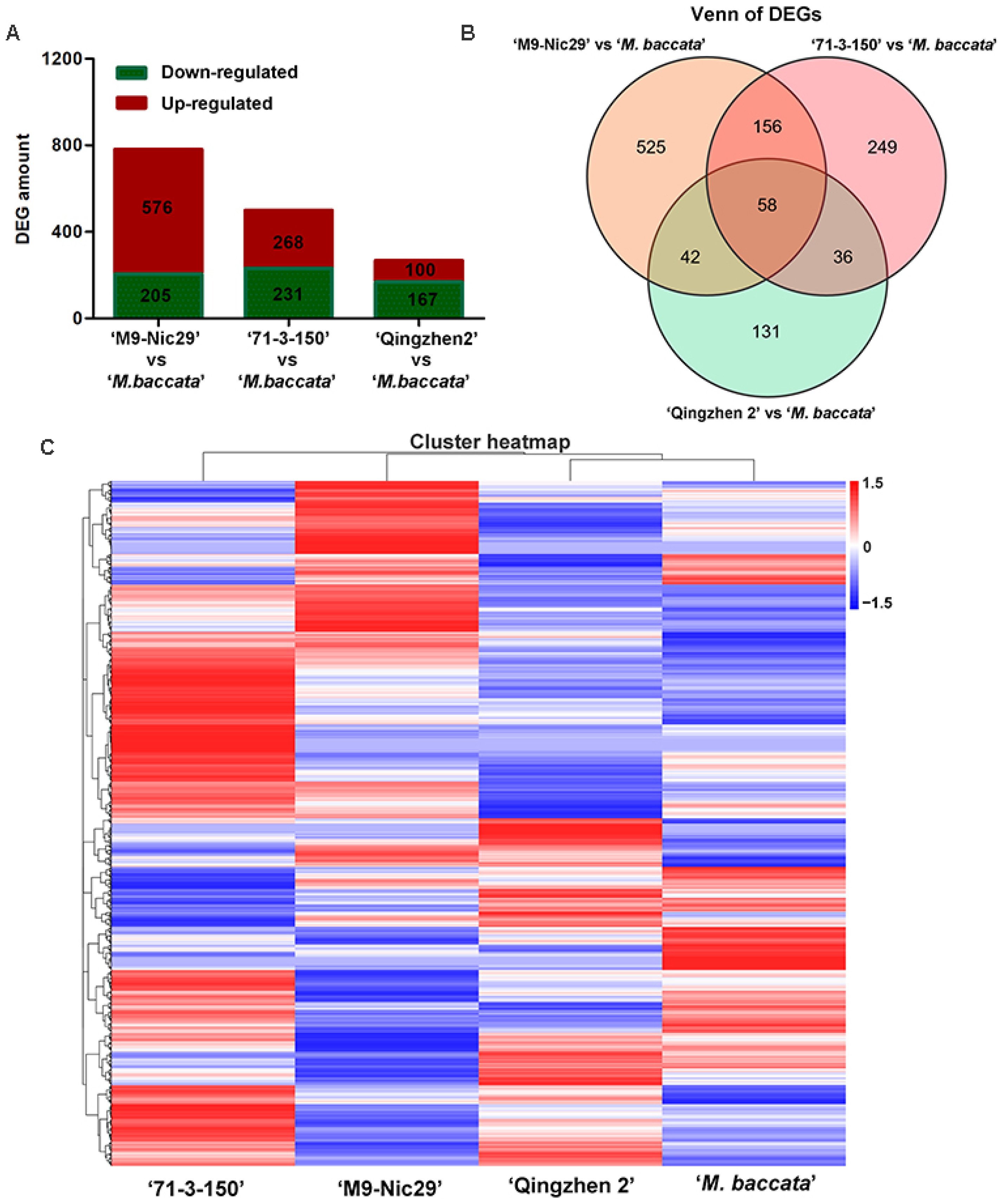 Plants 14 00696 g006