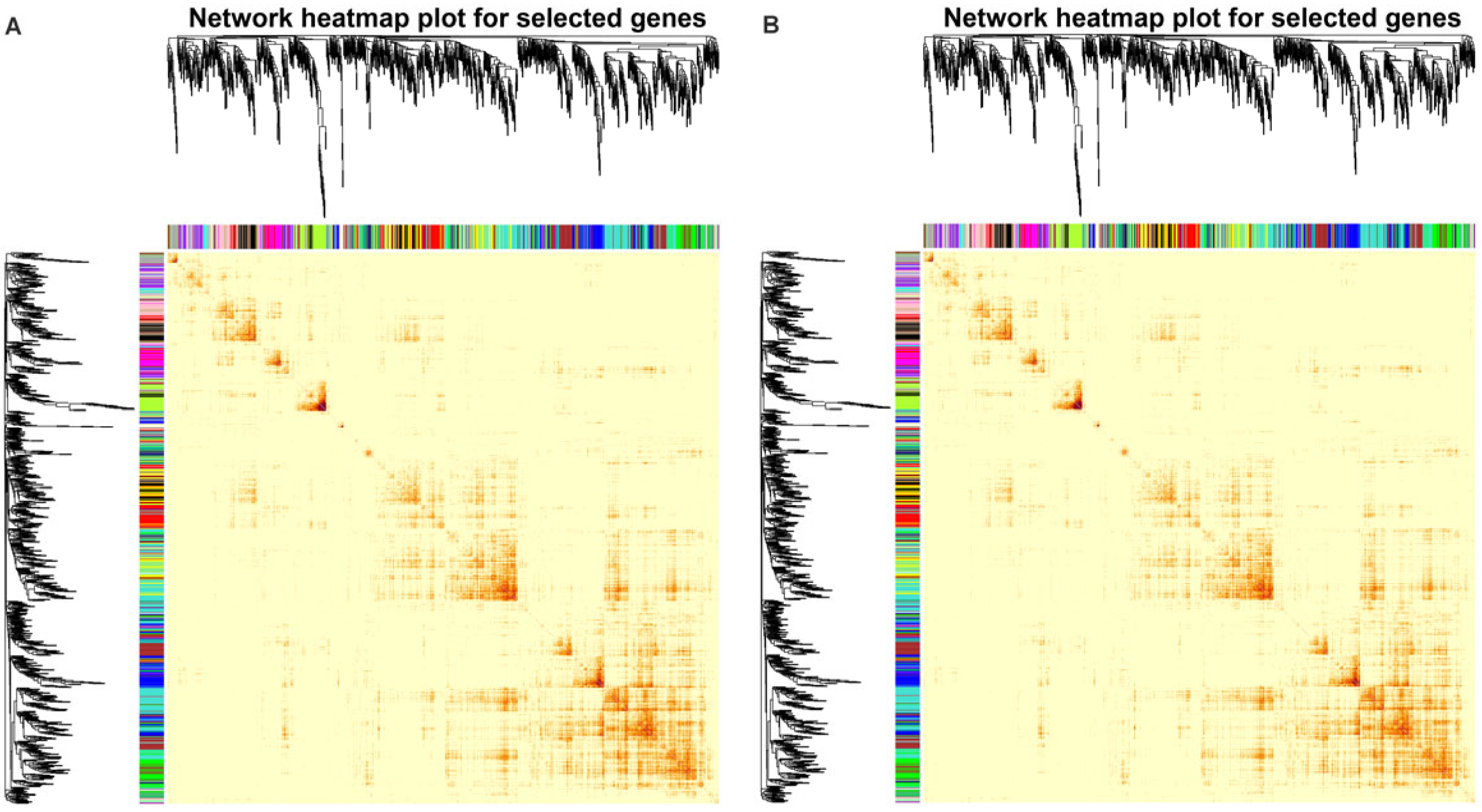 Plants 14 00696 g007