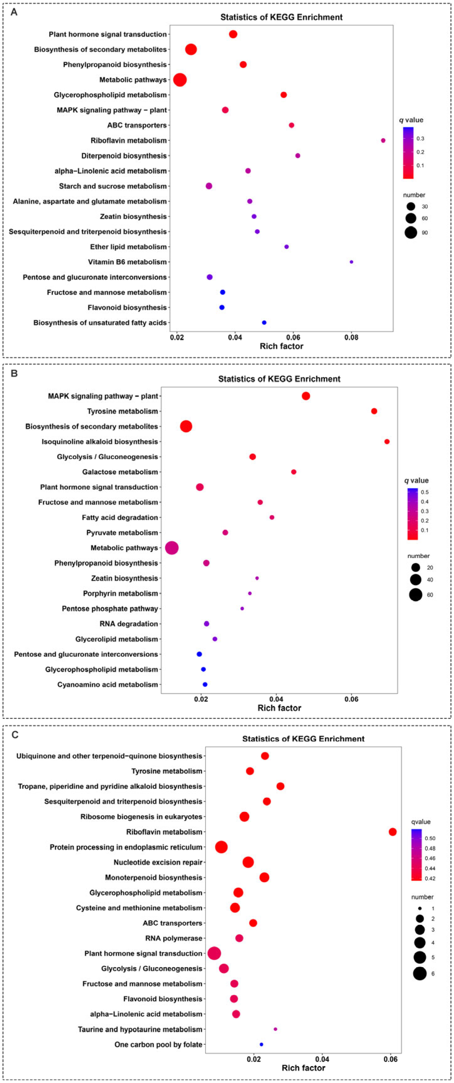 Plants 14 00696 g008