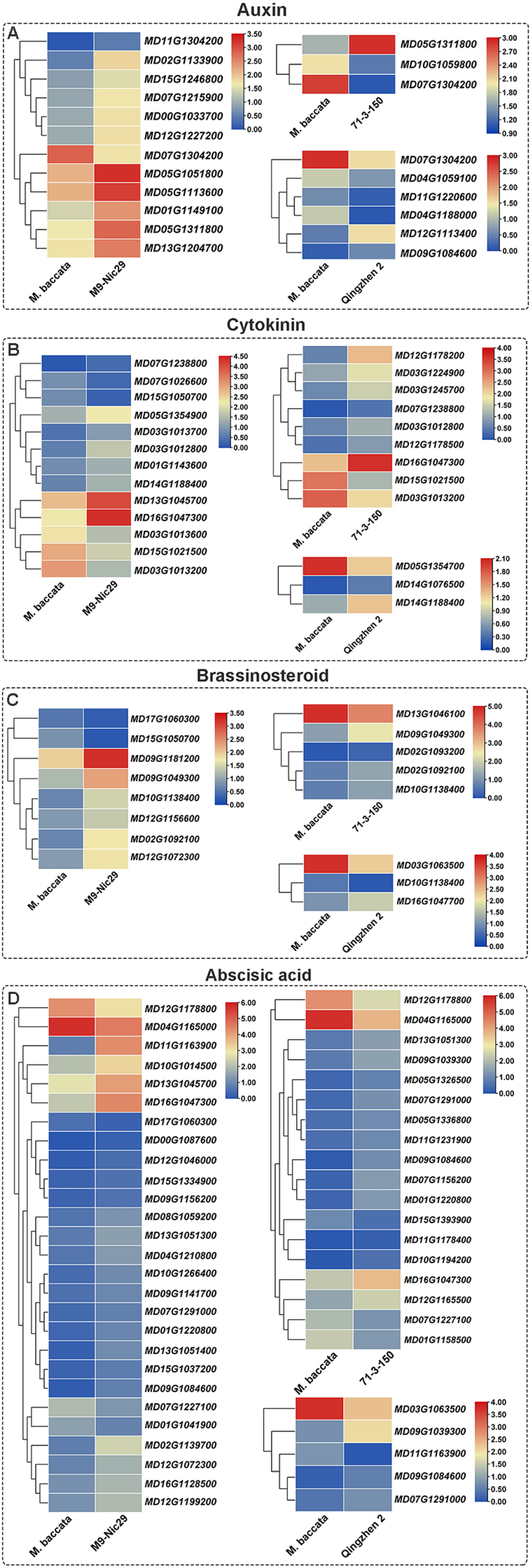 Plants 14 00696 g009