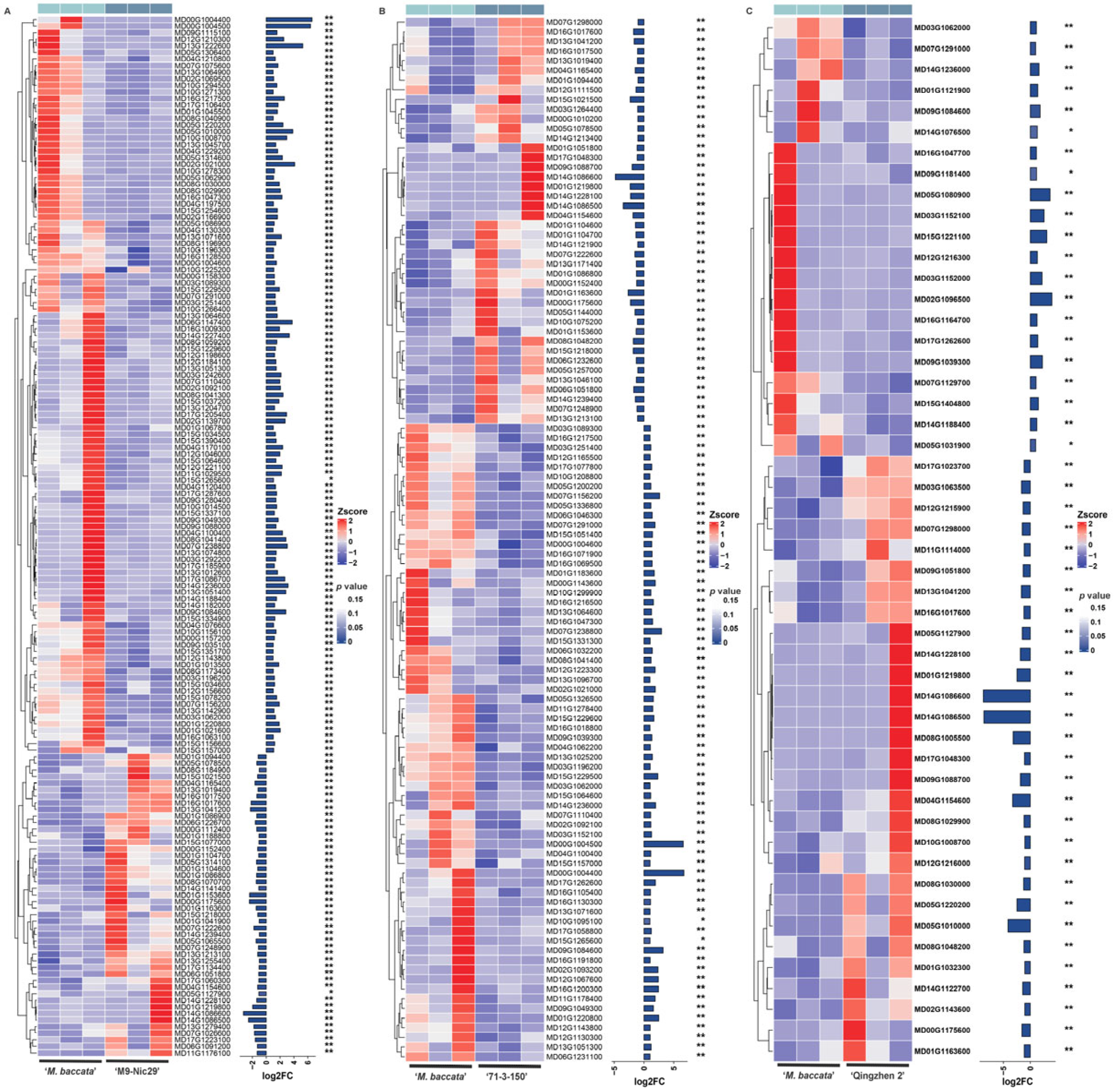 Plants 14 00696 g0a5