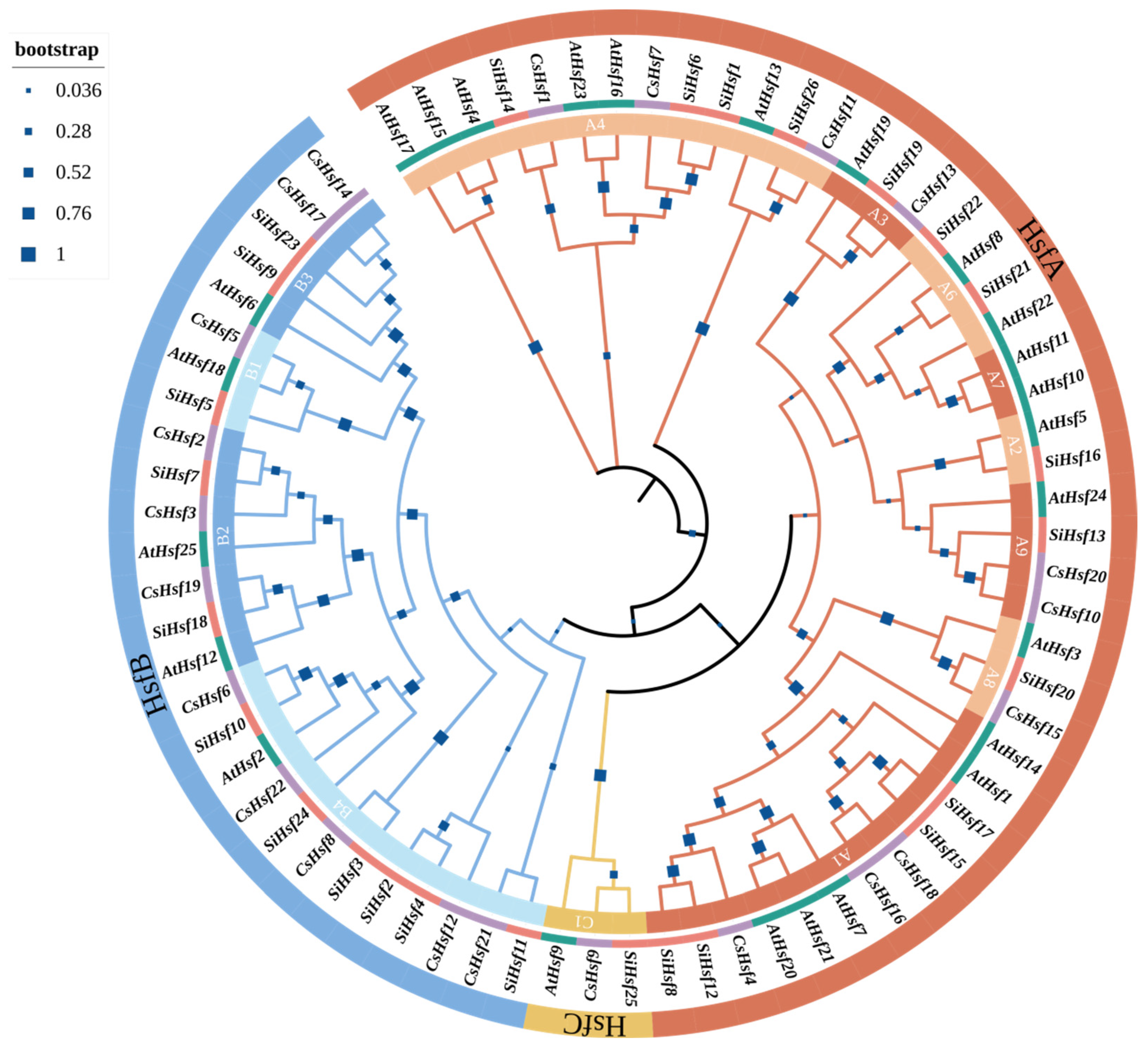 Plants 14 00697 g001