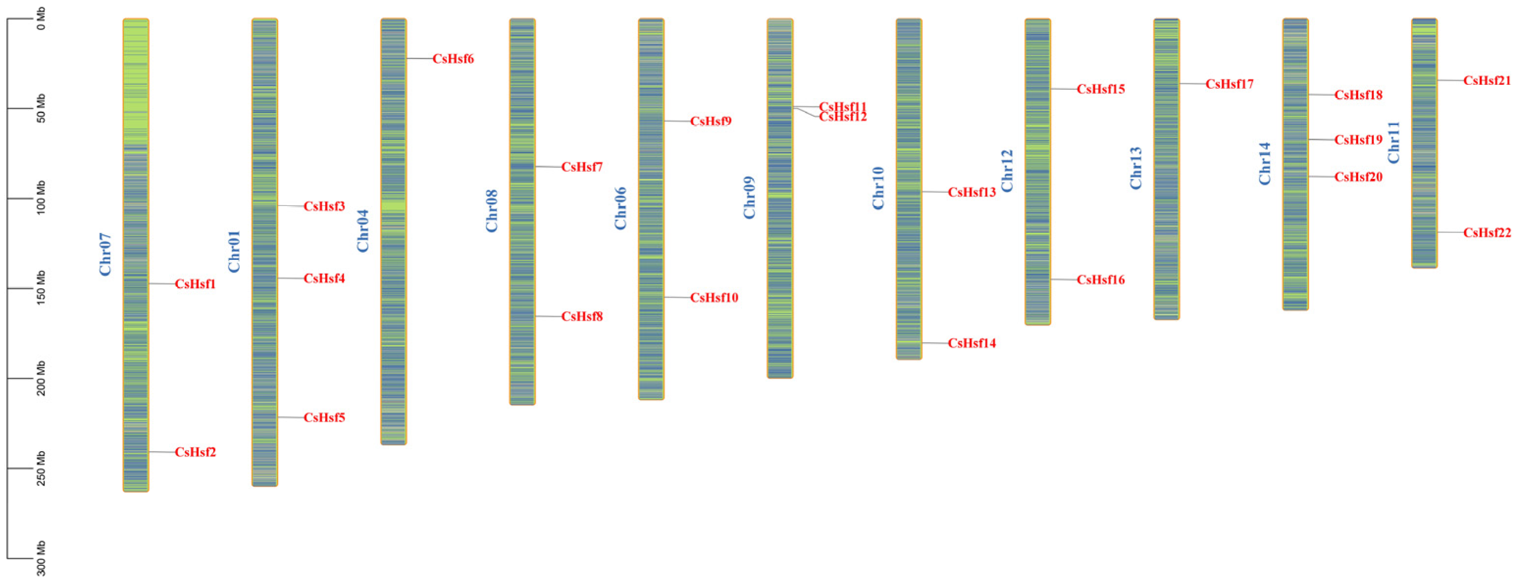 Plants 14 00697 g002