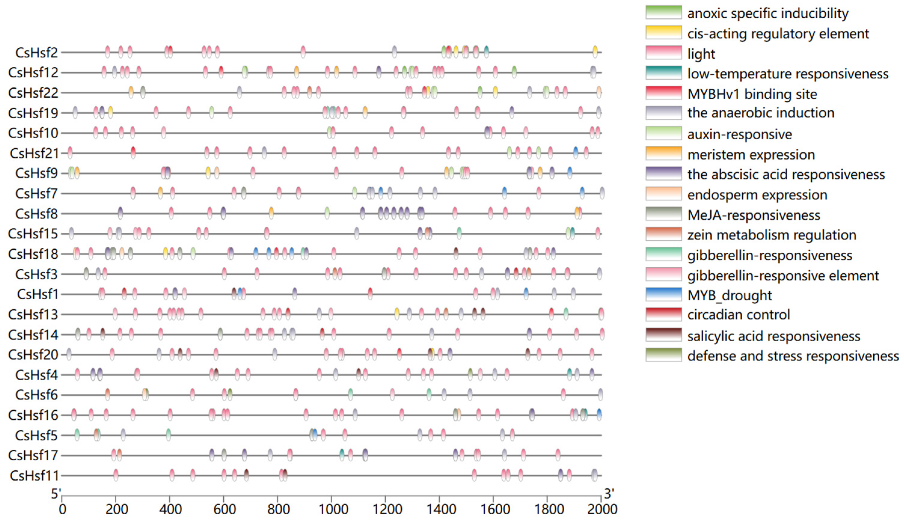 Plants 14 00697 g004