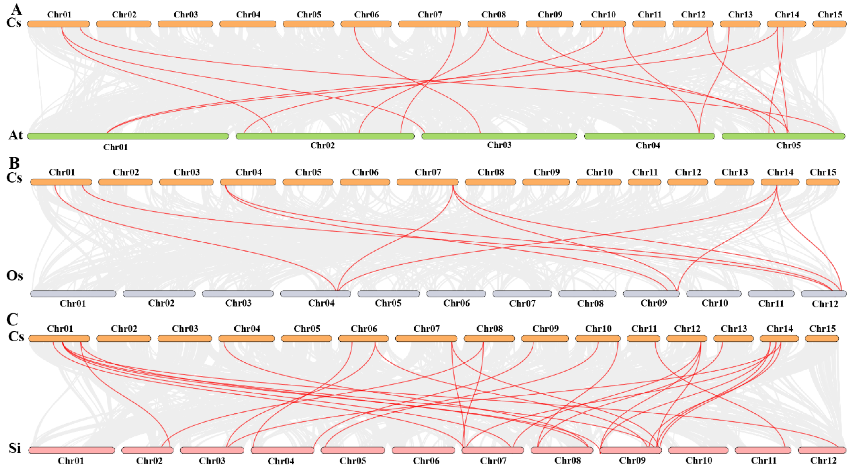 Plants 14 00697 g006