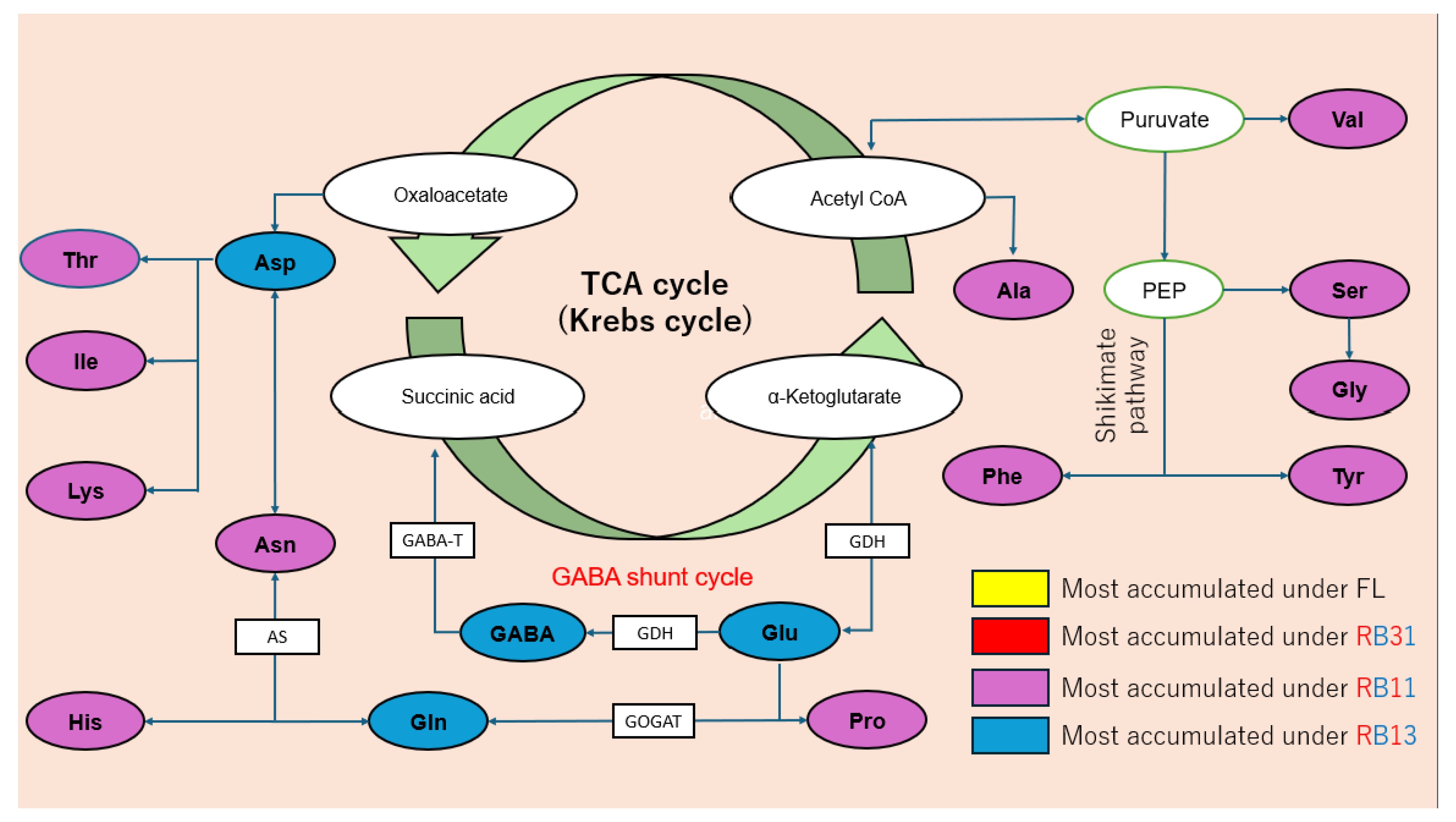 Plants 14 00700 g006