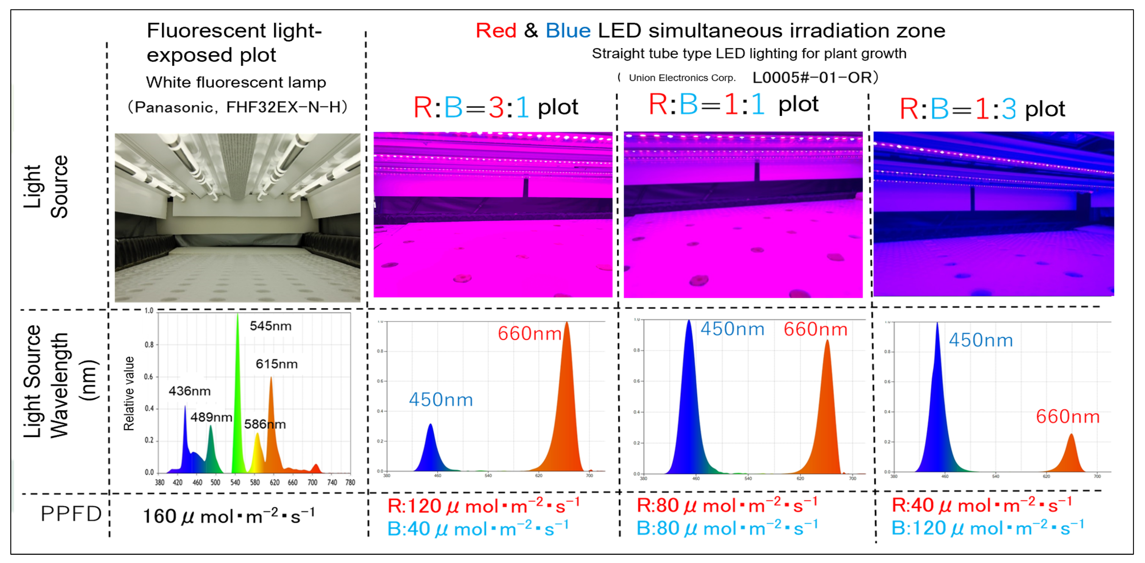 Plants 14 00700 g009