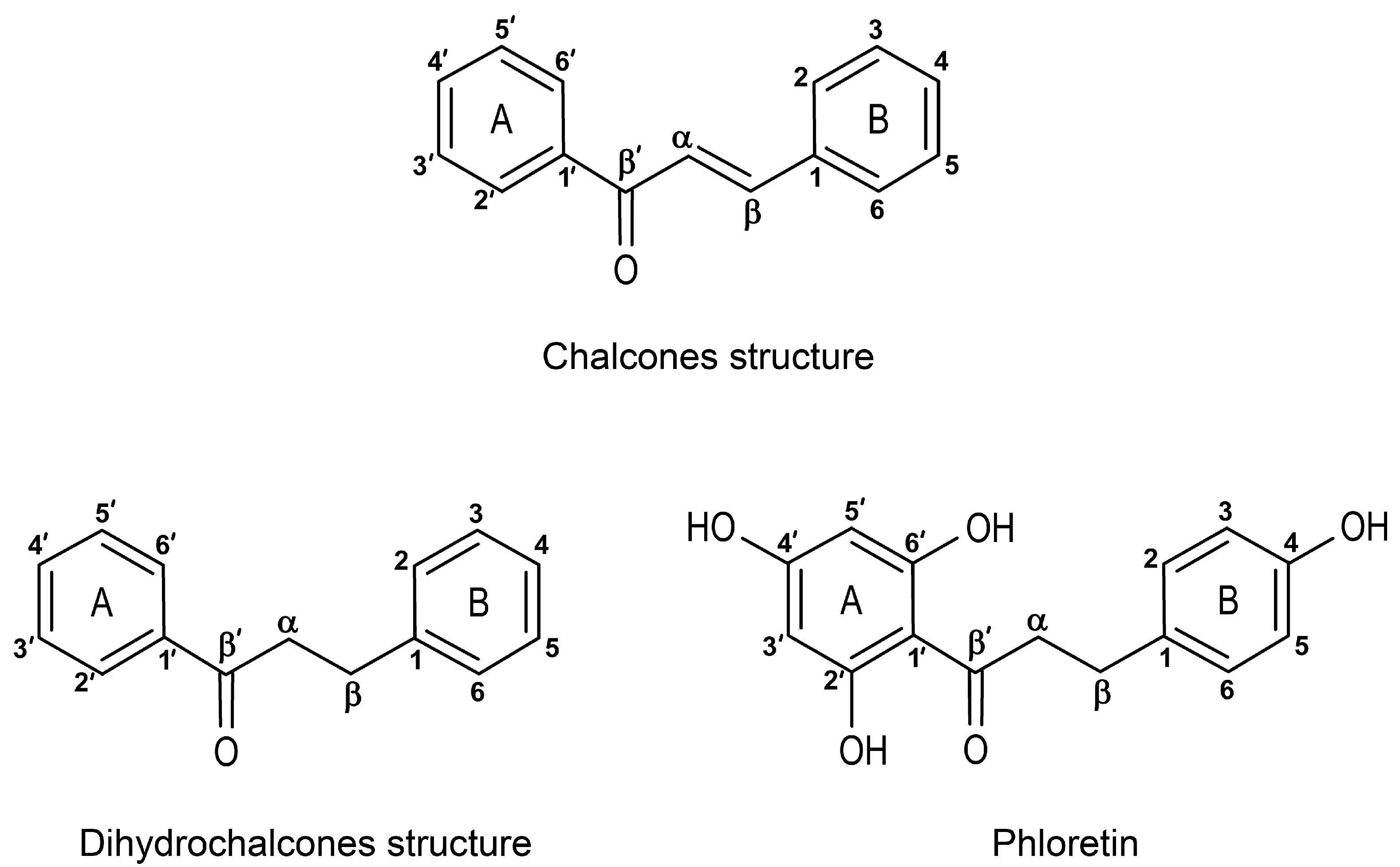 Plants 14 00701 g004