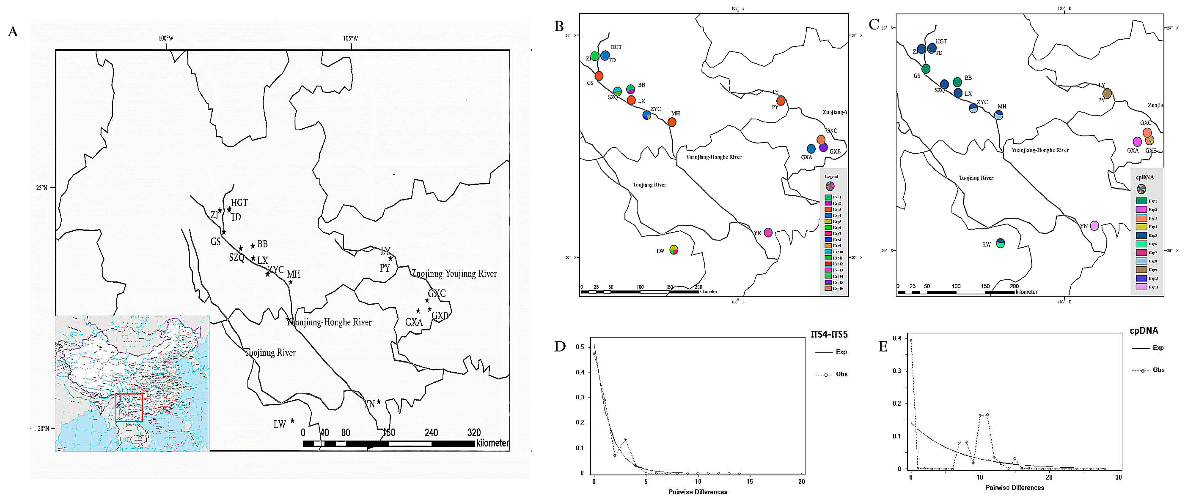 Plants 14 00706 g001