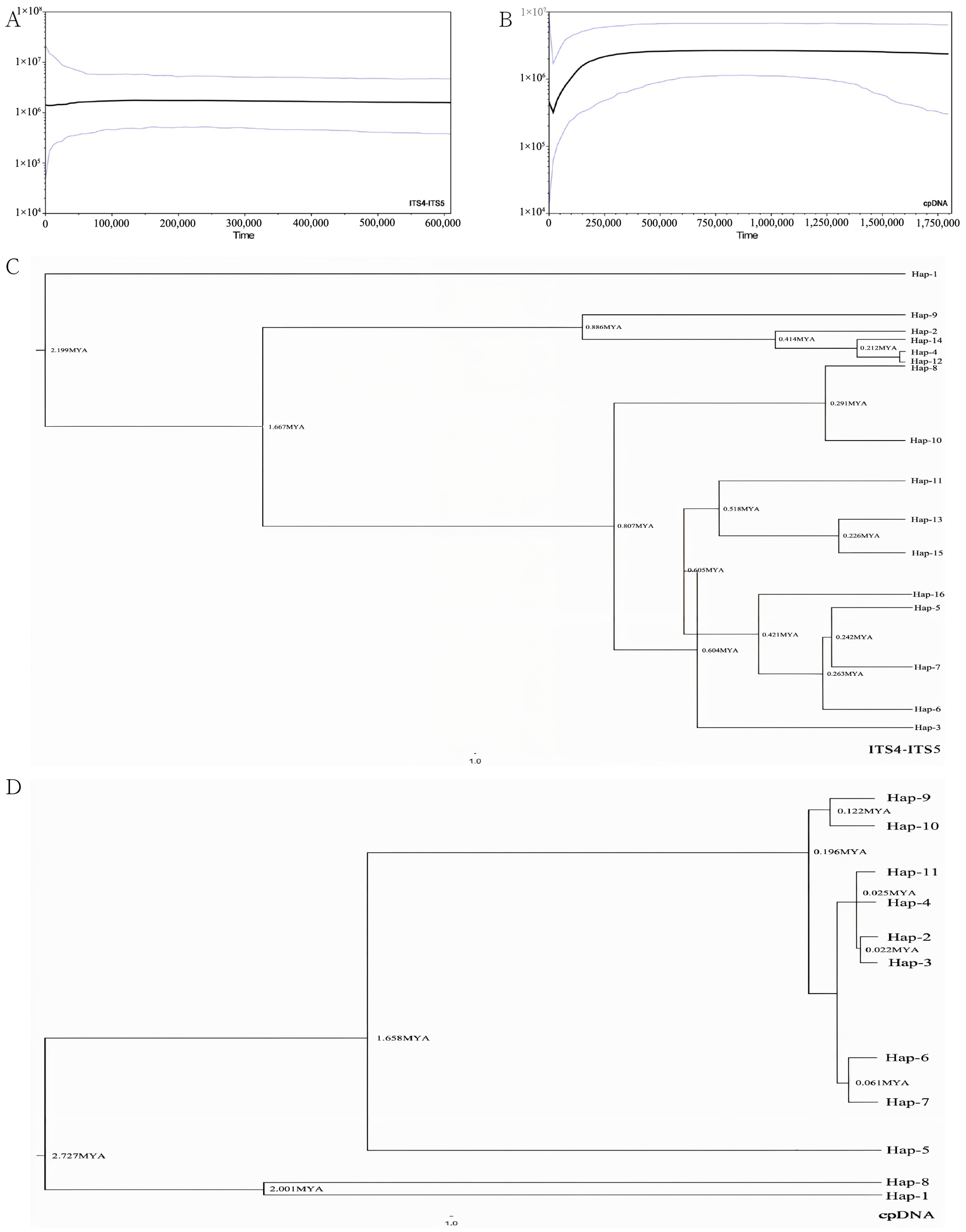 Plants 14 00706 g003
