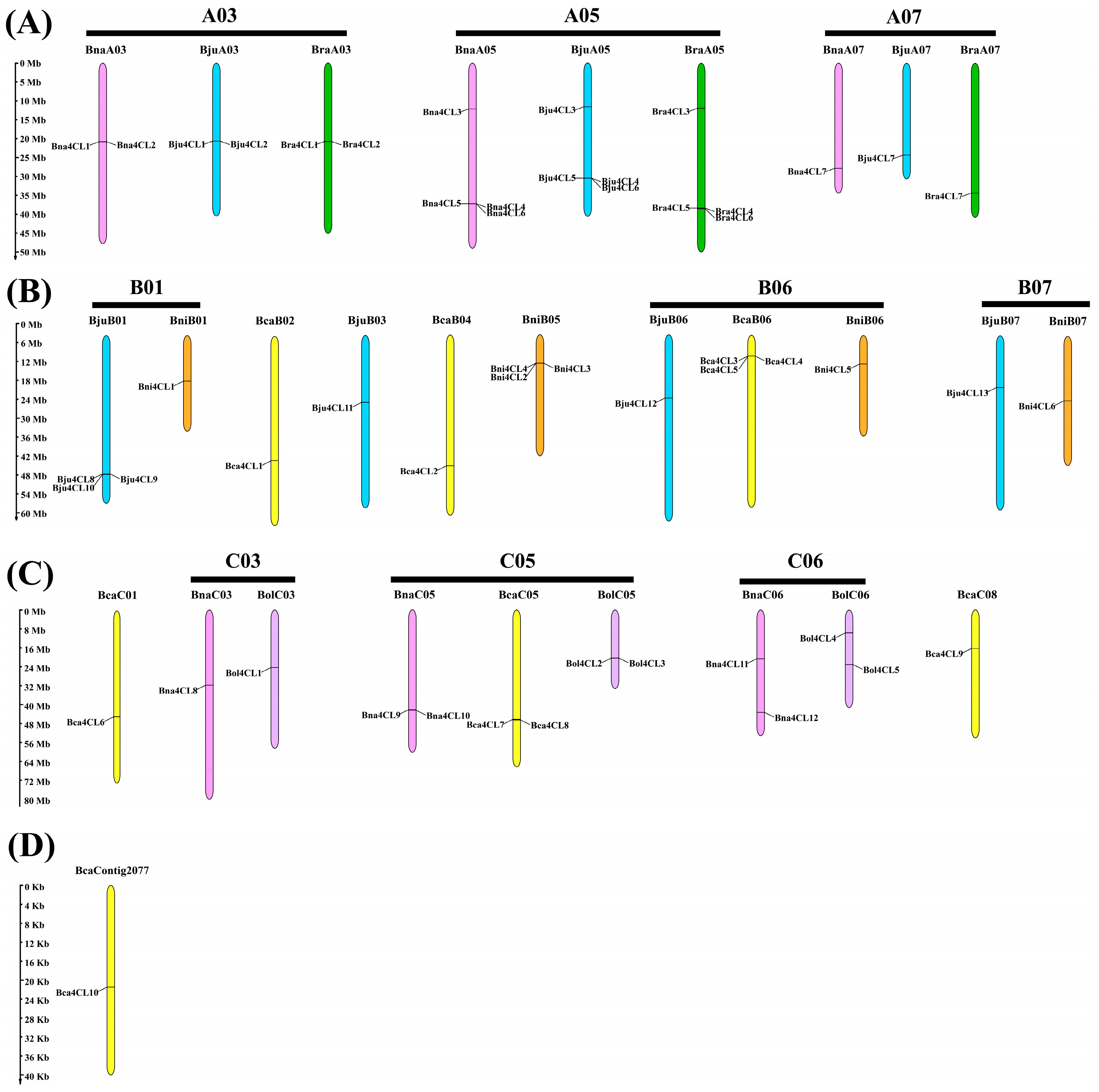 Plants 14 00714 g003