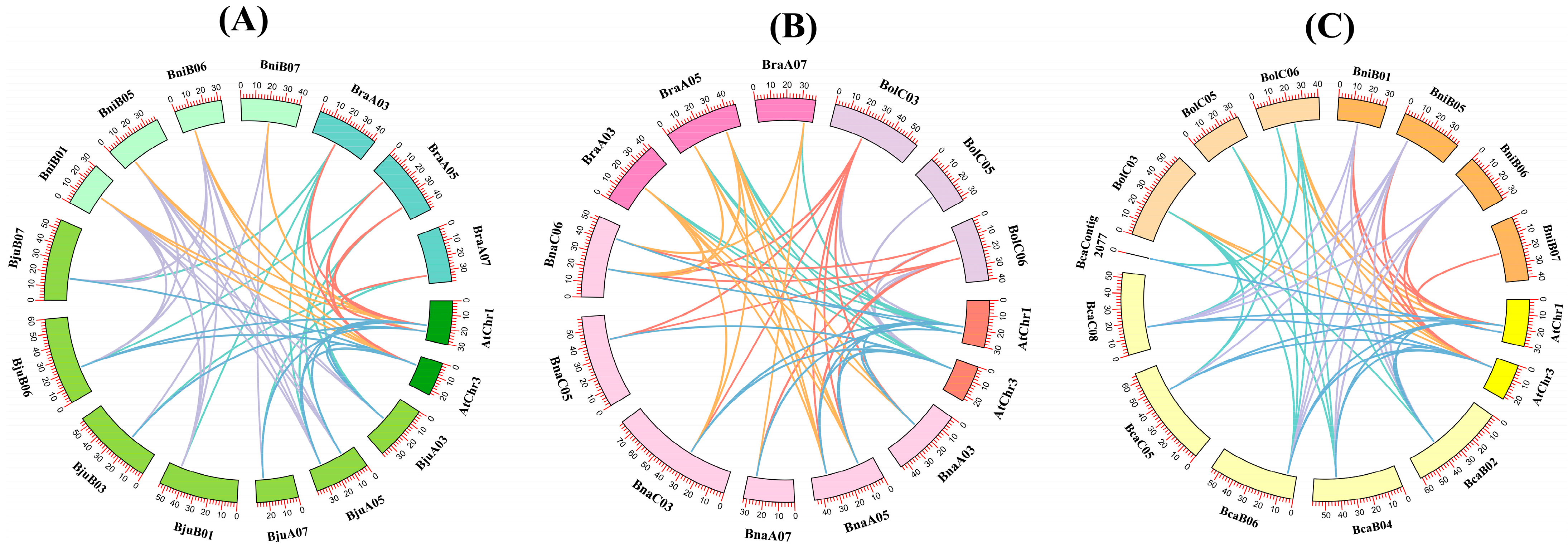 Plants 14 00714 g004