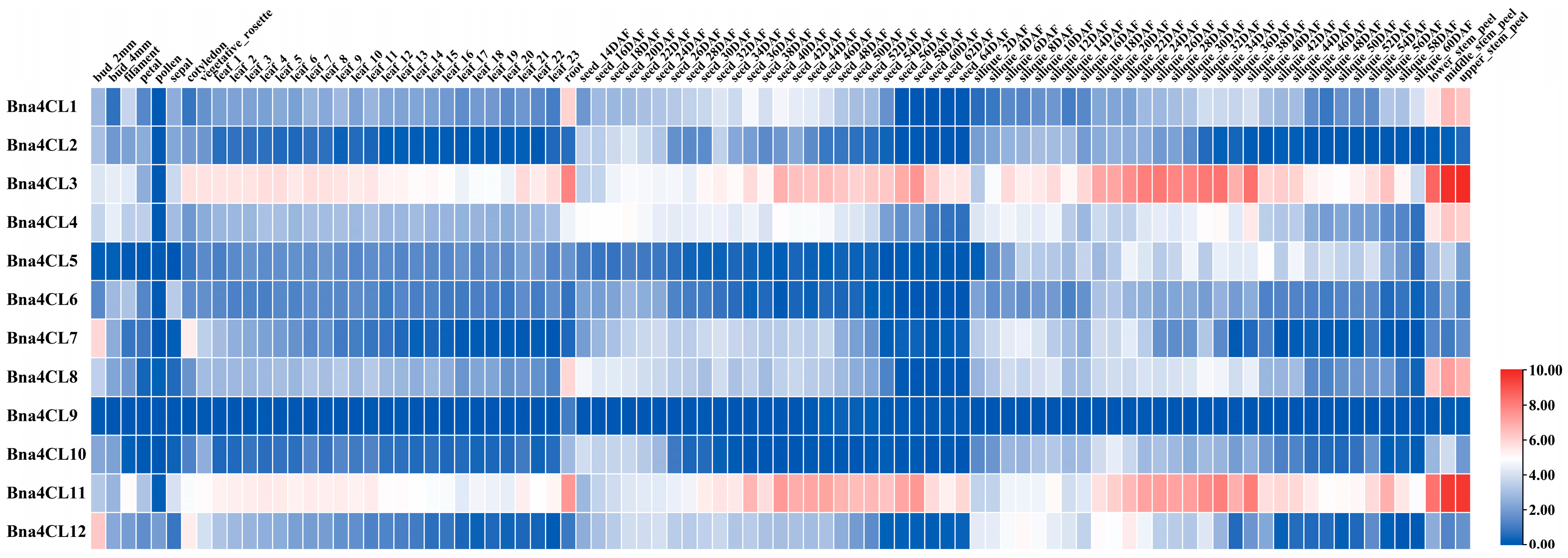 Plants 14 00714 g006