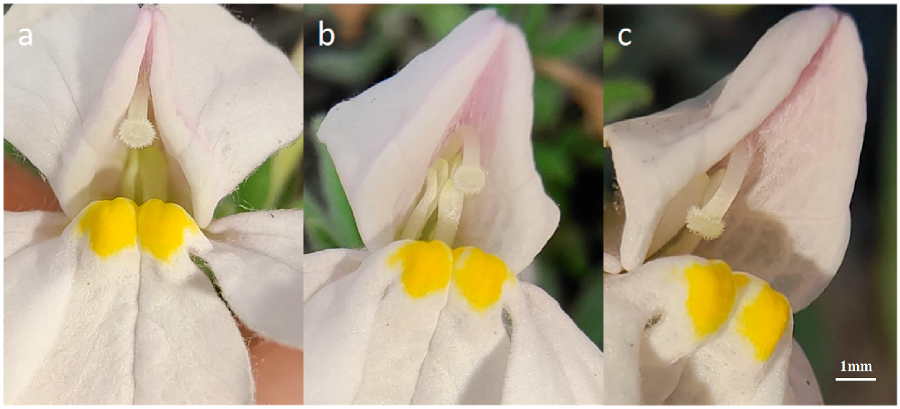 Plants 14 00715 g008