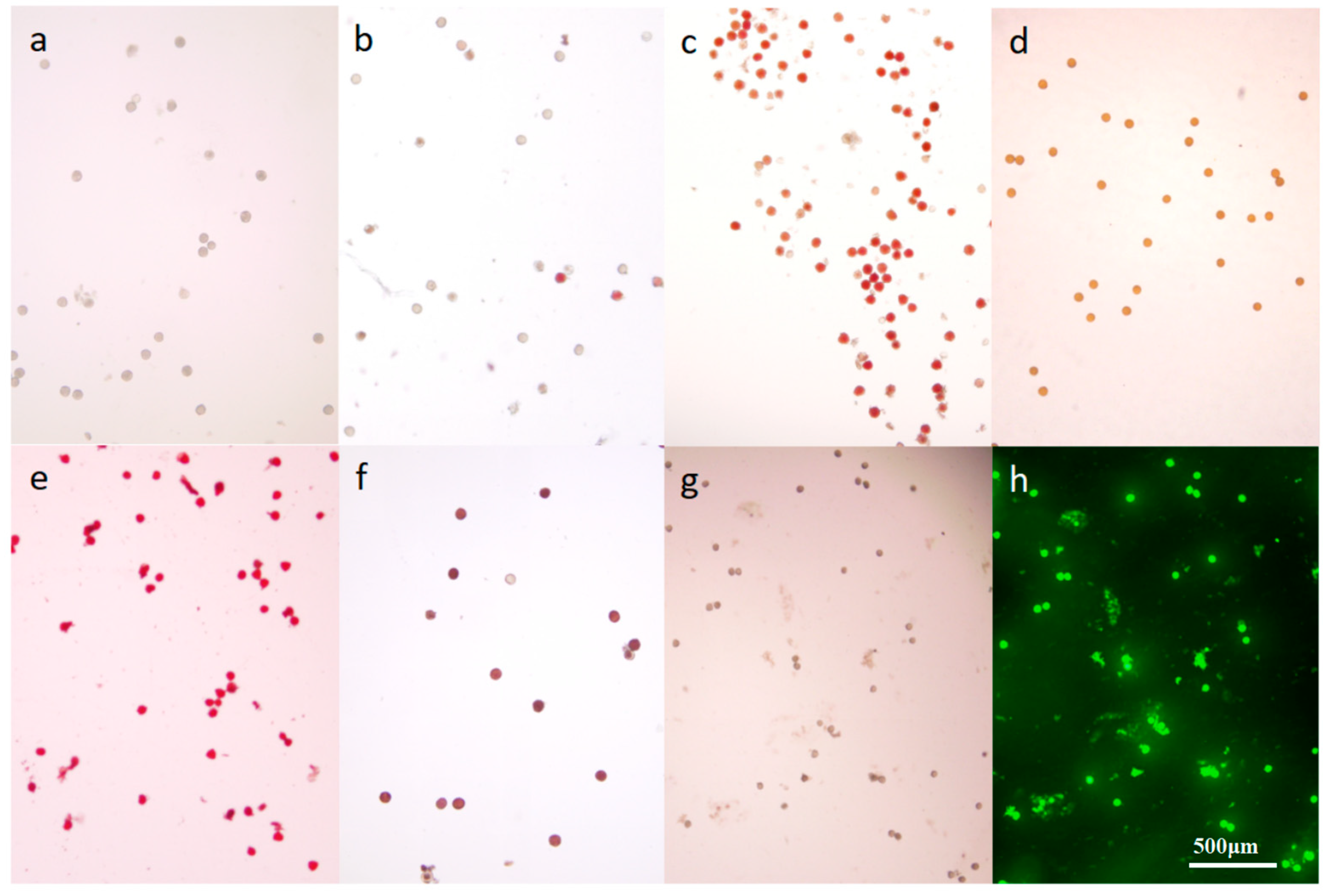 Plants 14 00715 g011