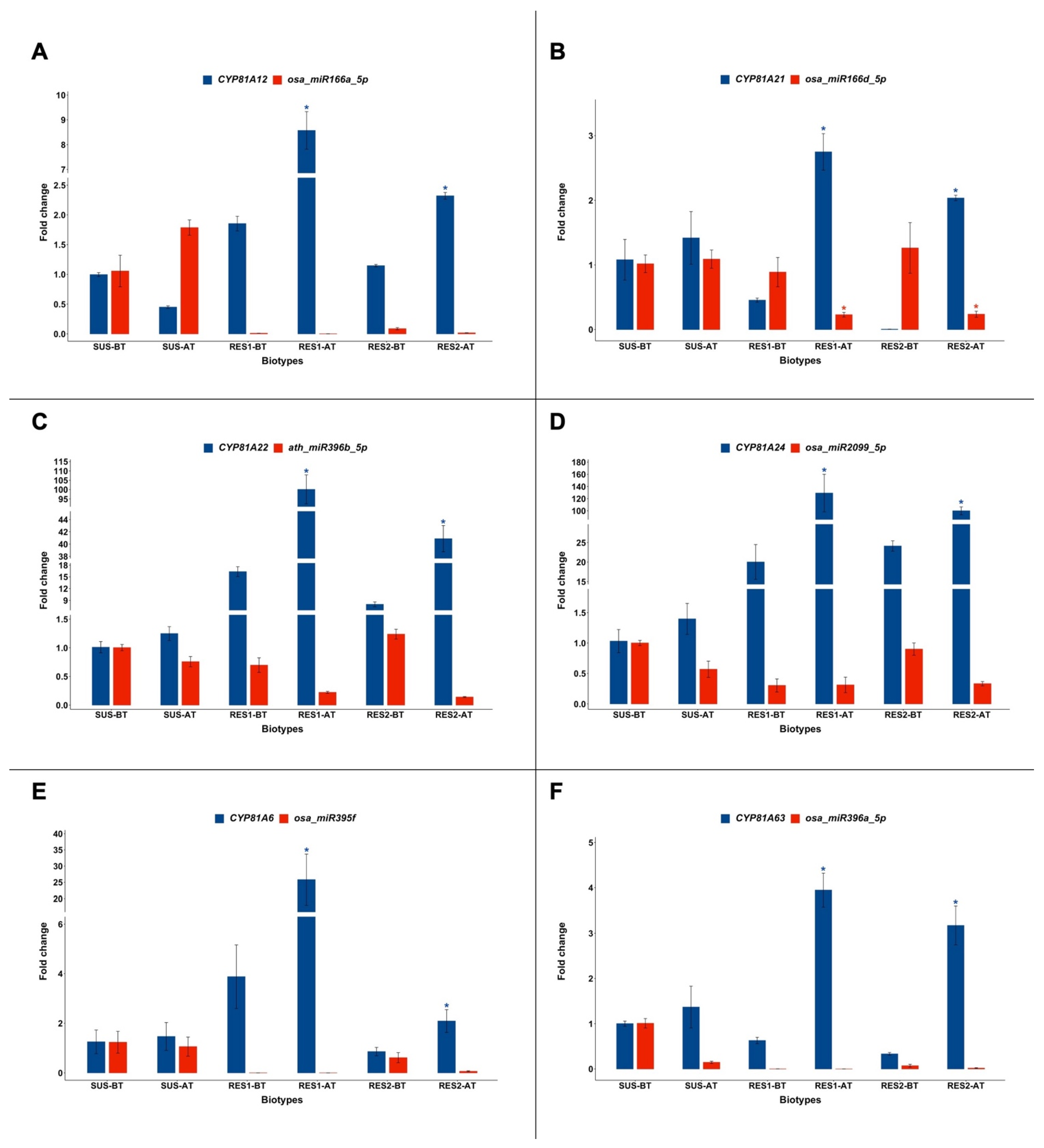 Plants 14 00719 g001