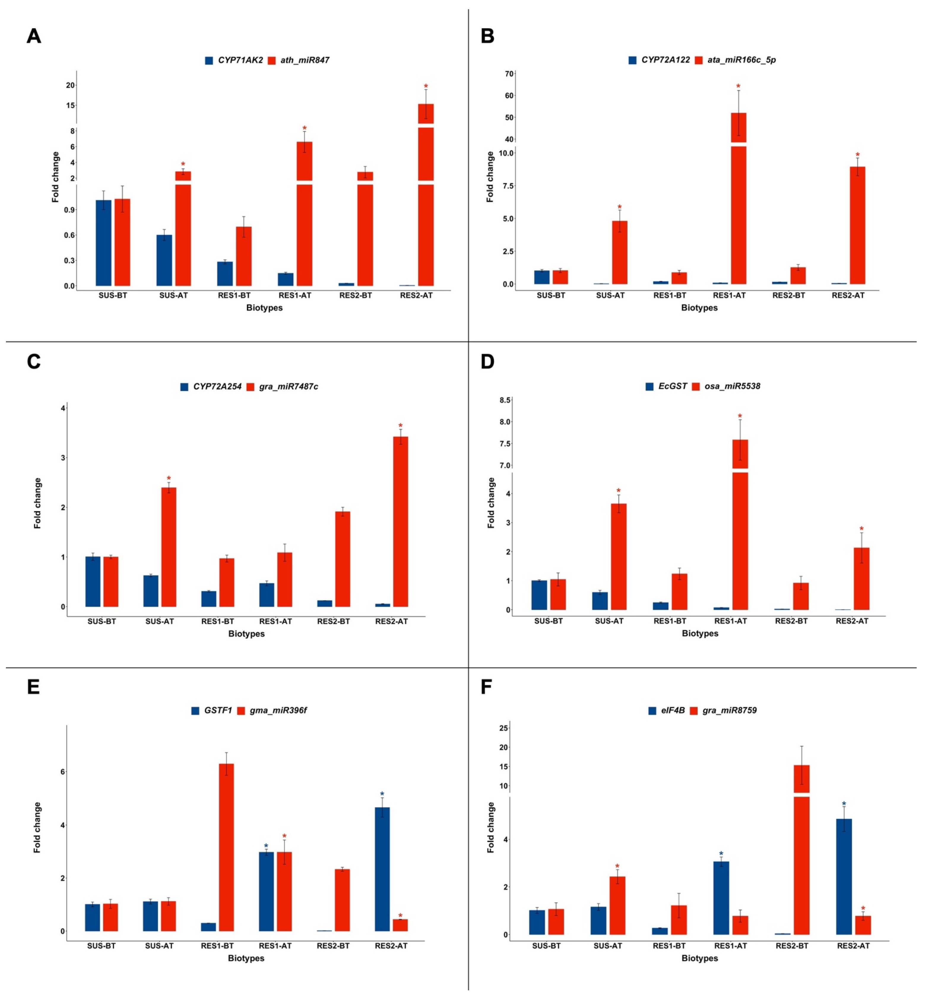 Plants 14 00719 g002