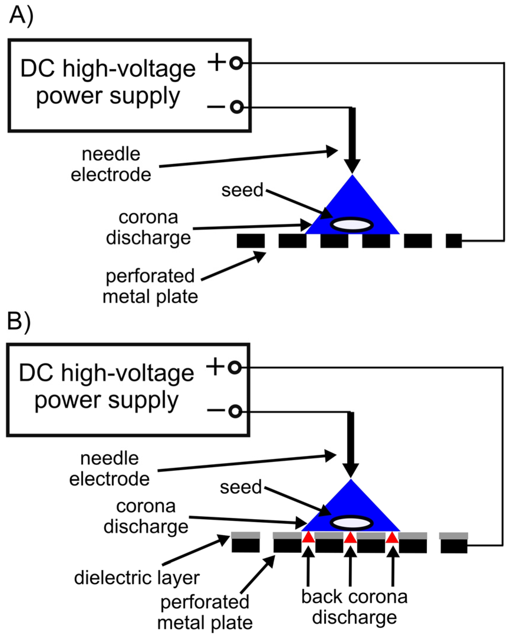 Plants 14 00728 g001