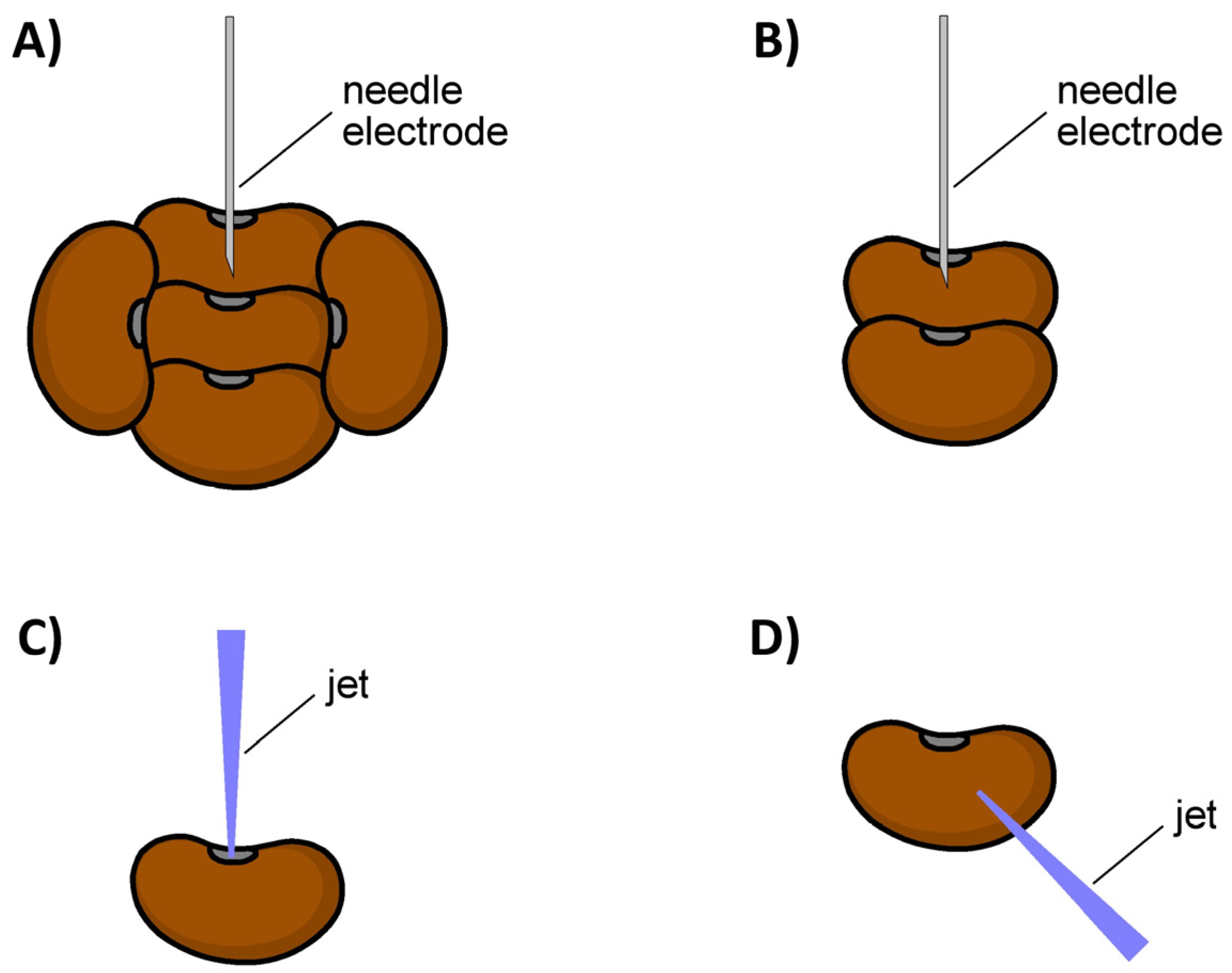 Plants 14 00728 g002