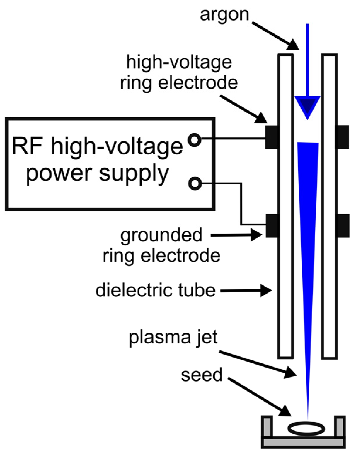 Plants 14 00728 g003