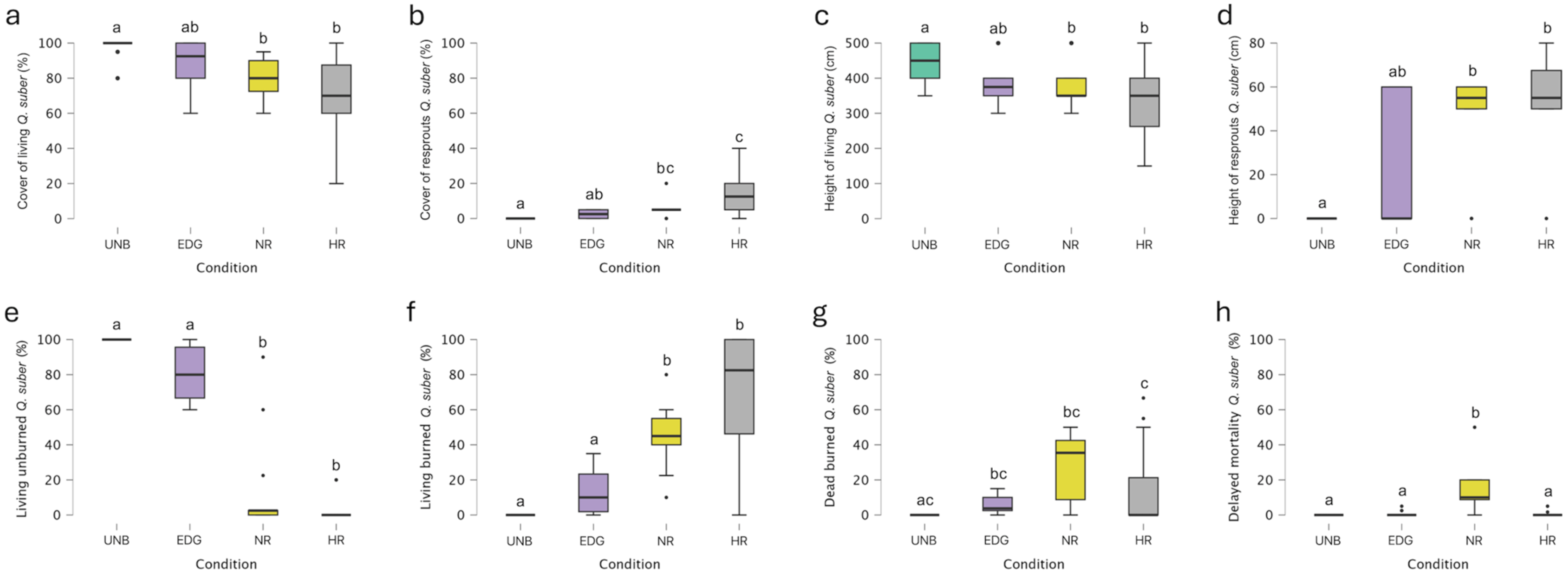 Plants 14 00730 g004