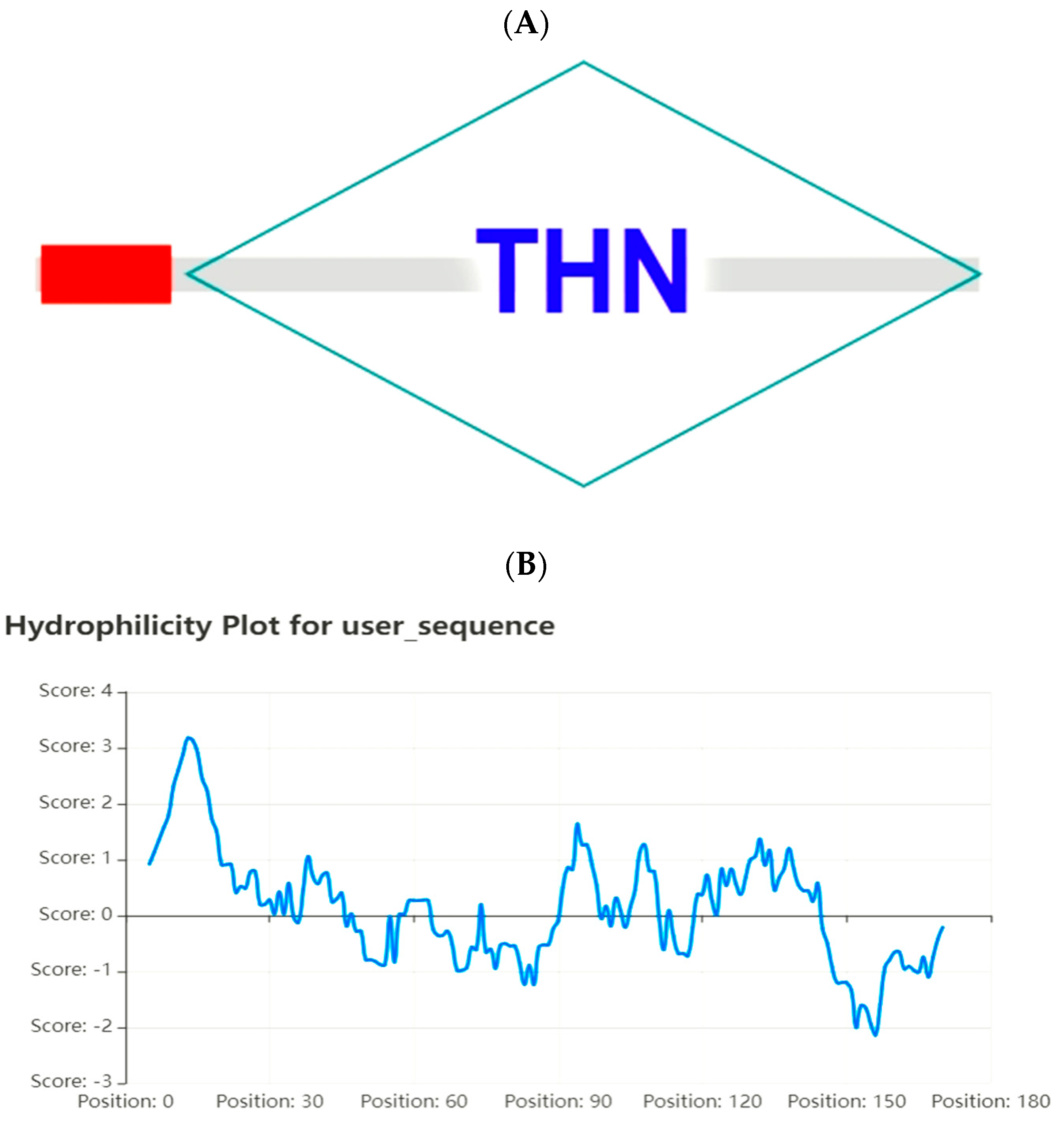 Plants 14 00737 g001