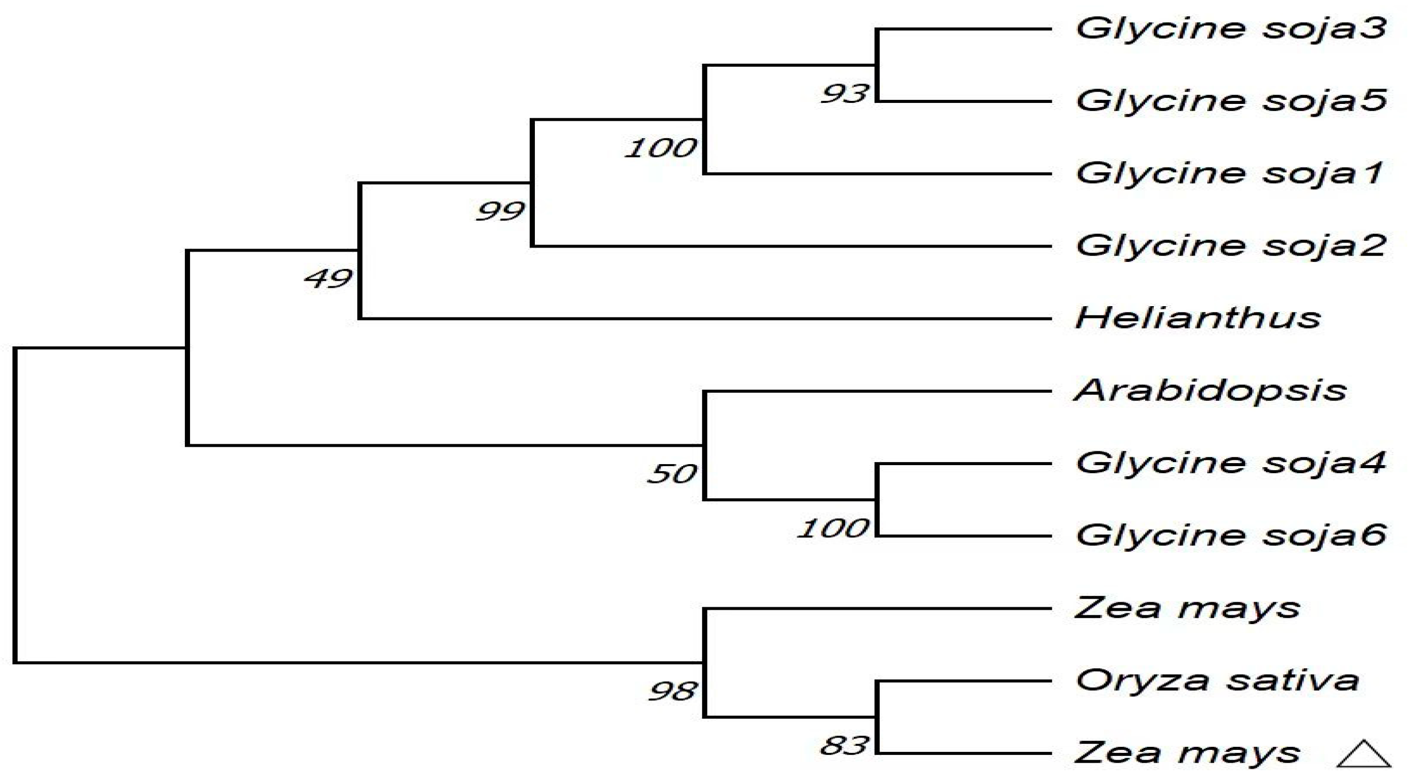 Plants 14 00737 g003