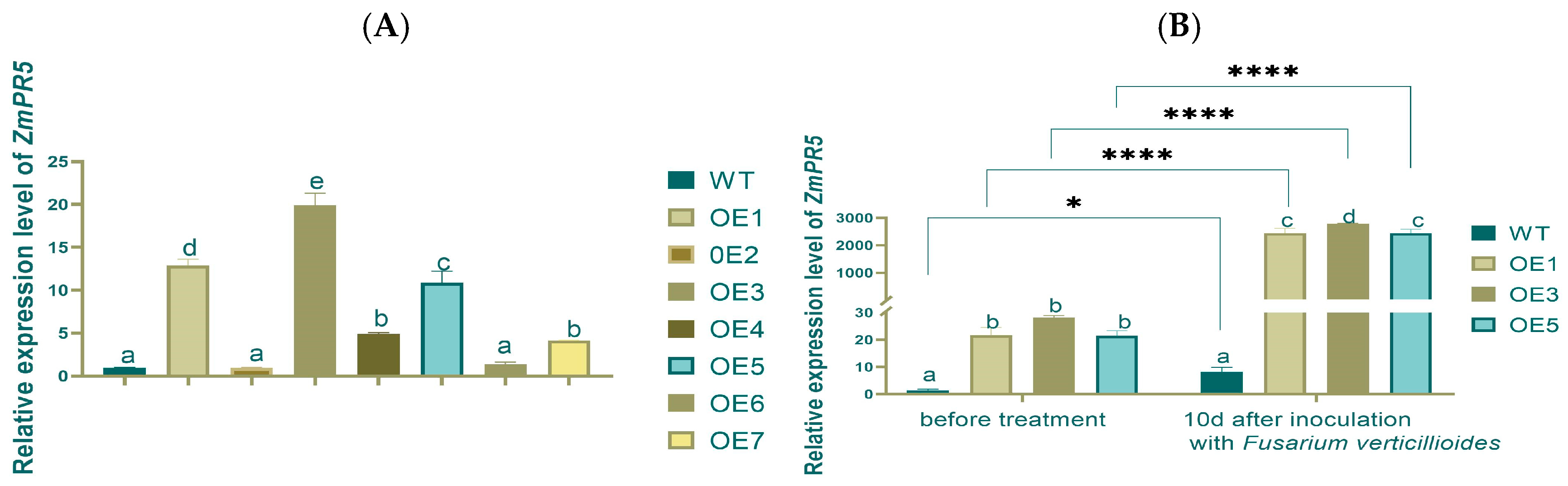 Plants 14 00737 g005