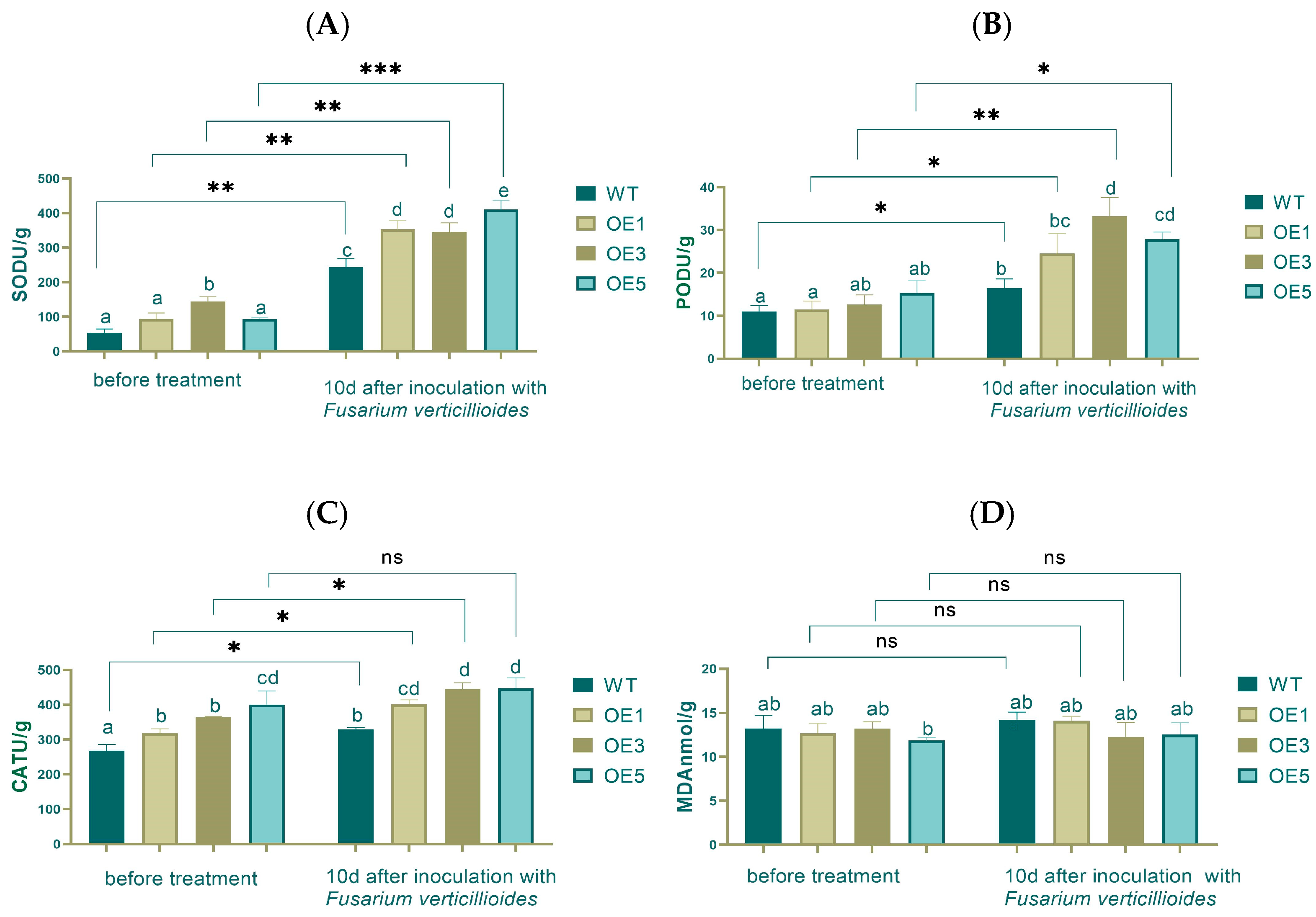 Plants 14 00737 g007