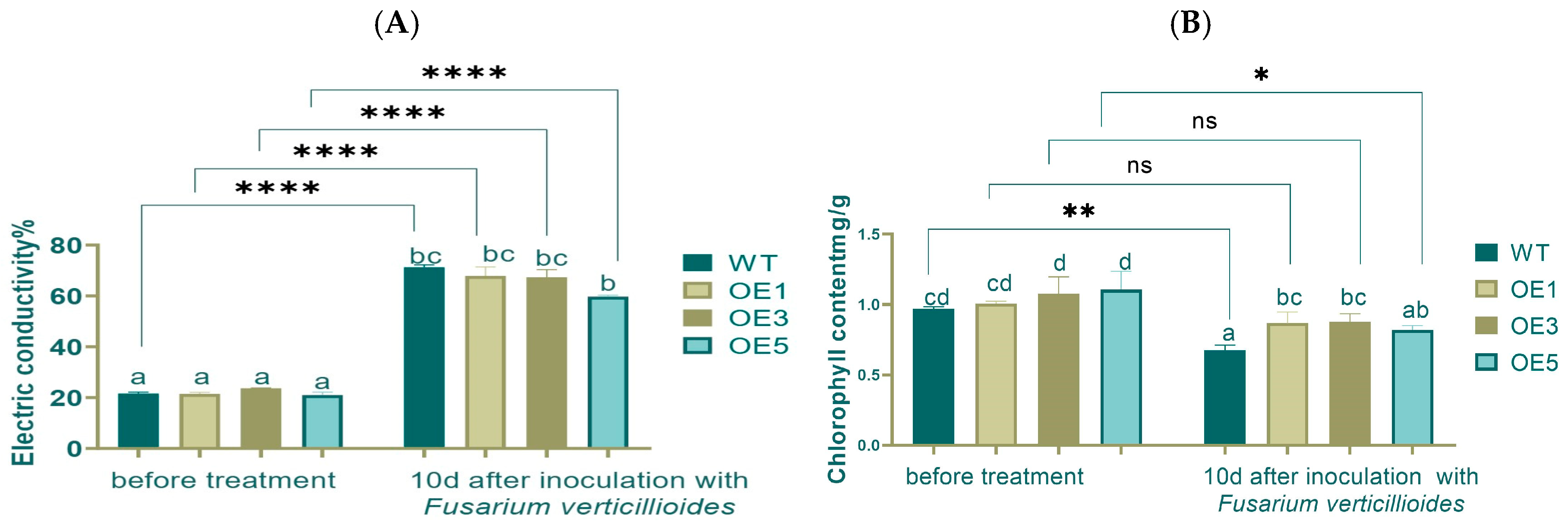 Plants 14 00737 g008