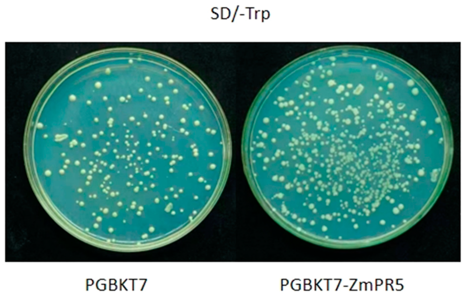 Plants 14 00737 g009