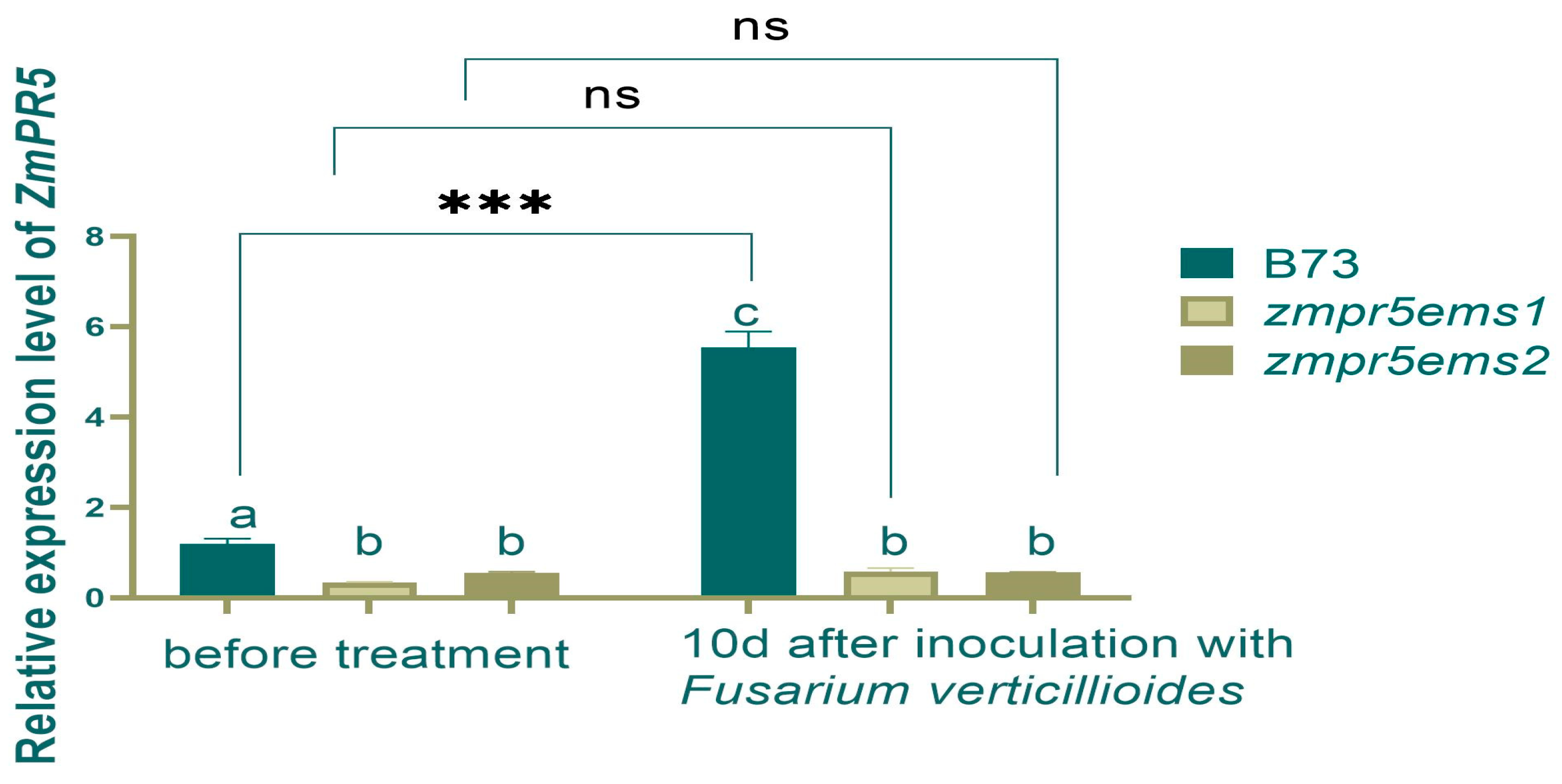 Plants 14 00737 g013