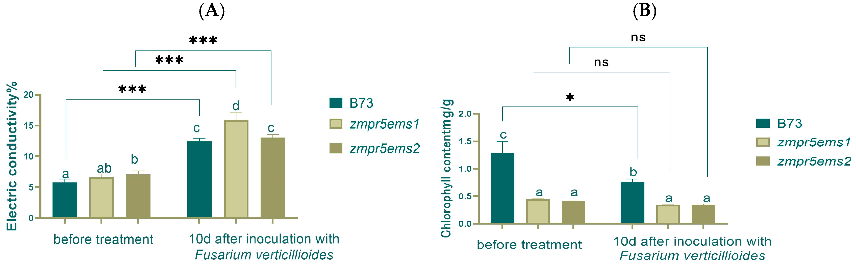 Plants 14 00737 g015