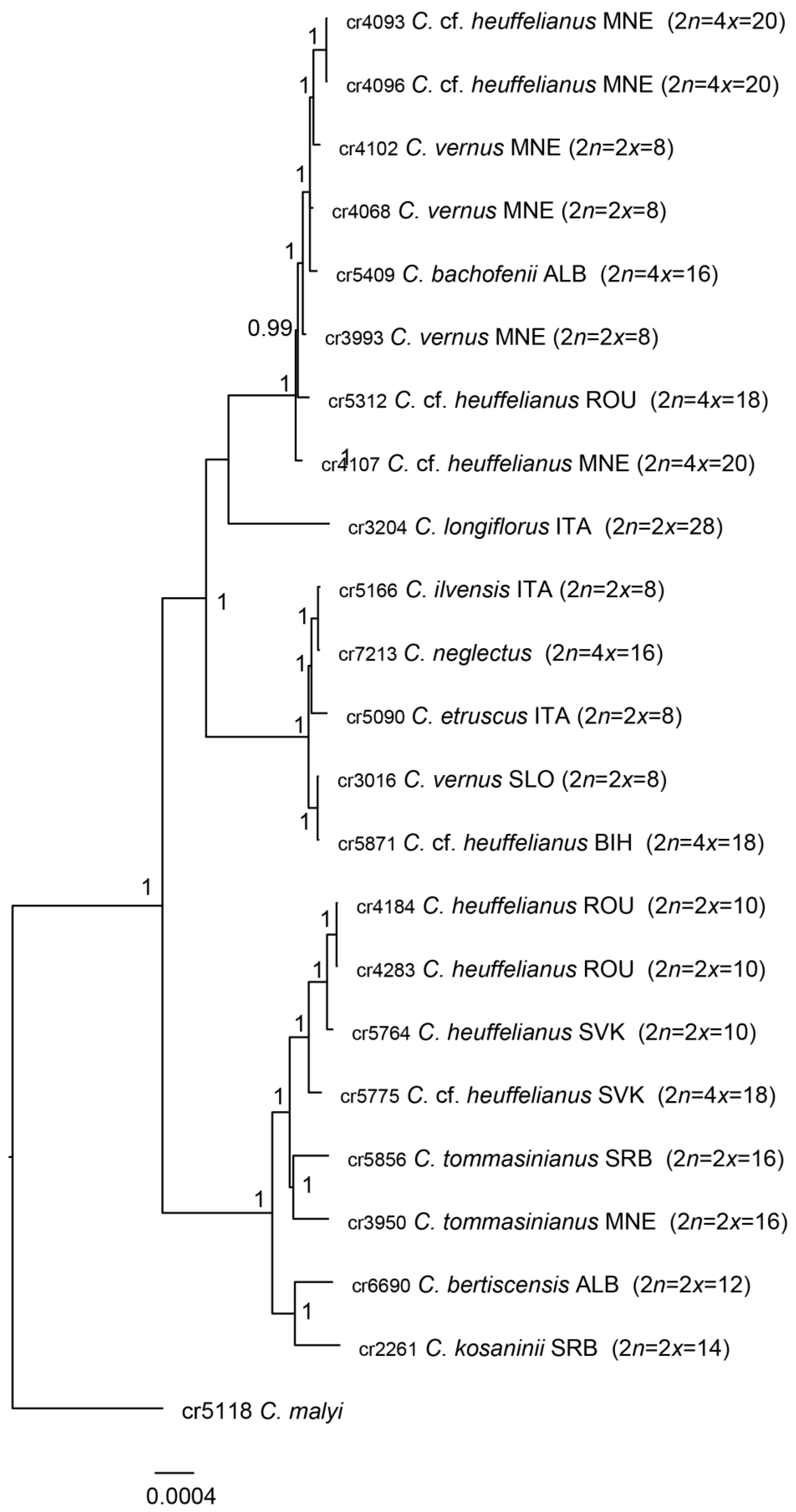 Plants 14 00741 g001