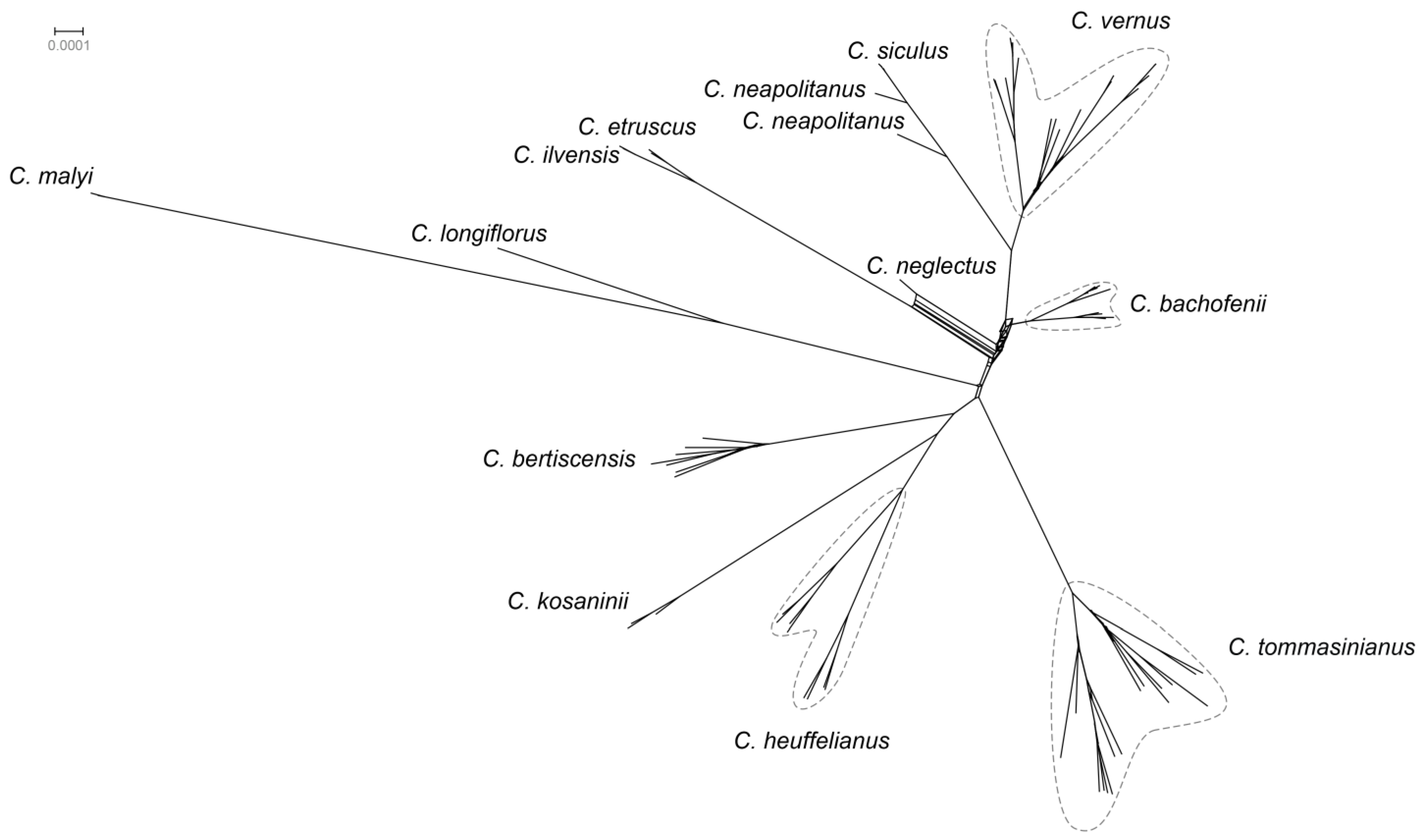 Plants 14 00741 g002
