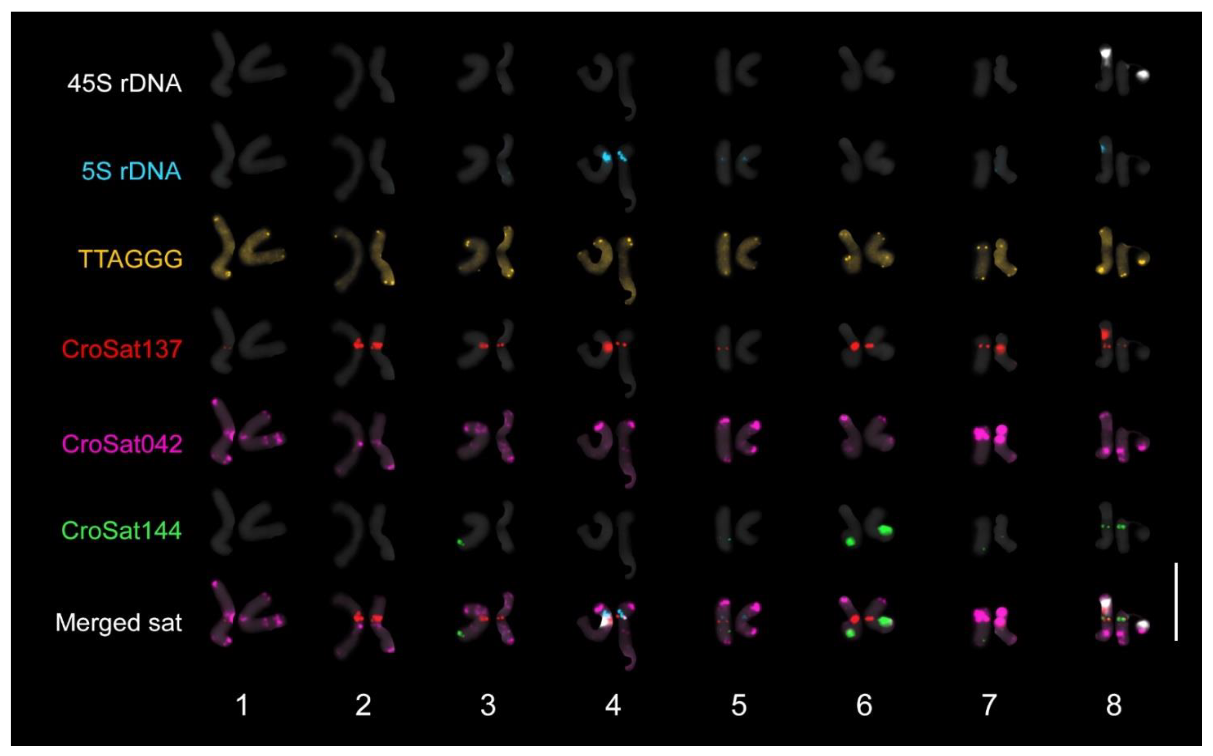 Plants 14 00741 g004