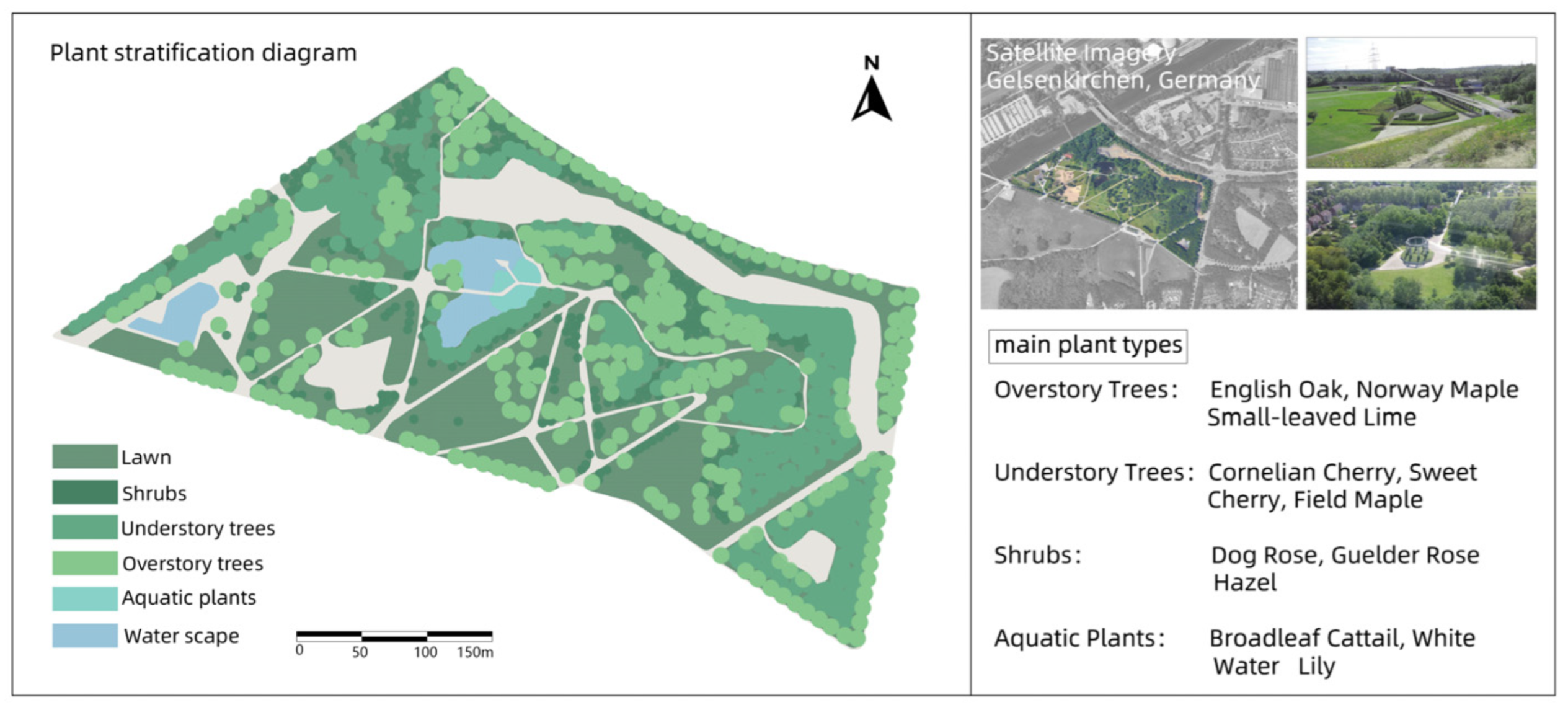 Plants 14 00747 g001