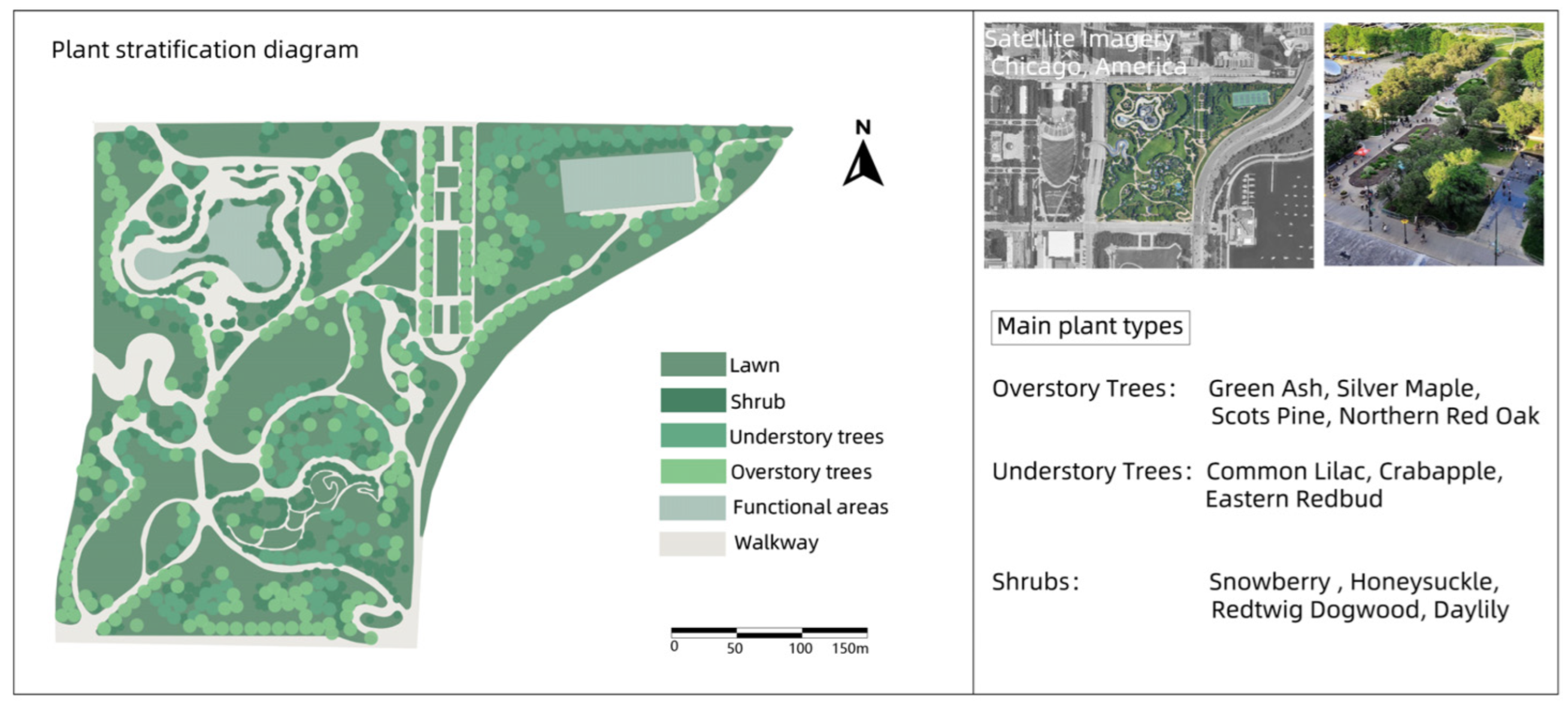 Plants 14 00747 g003